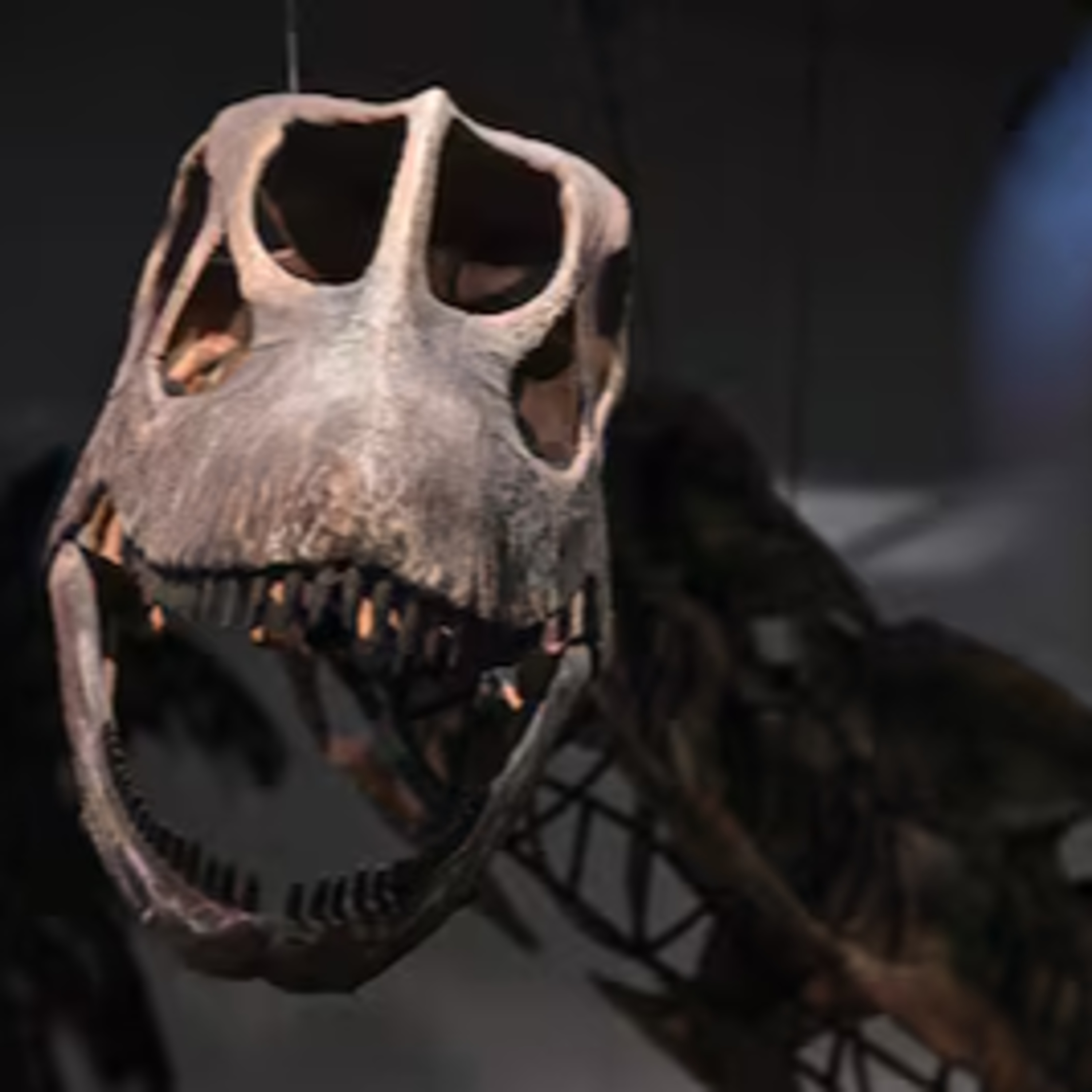 Le nagatitan, nouveau dinosaure découvert en Thaïlande episode artwork