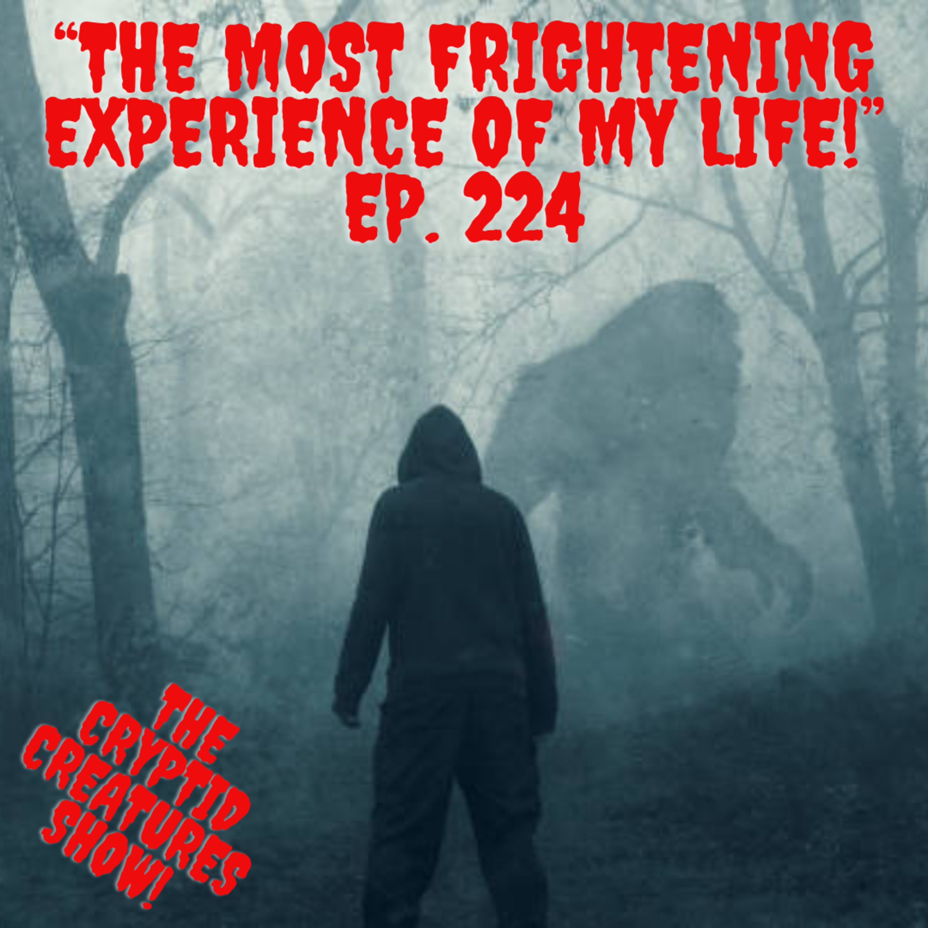 The Most Frightening experience of my life! EP 224