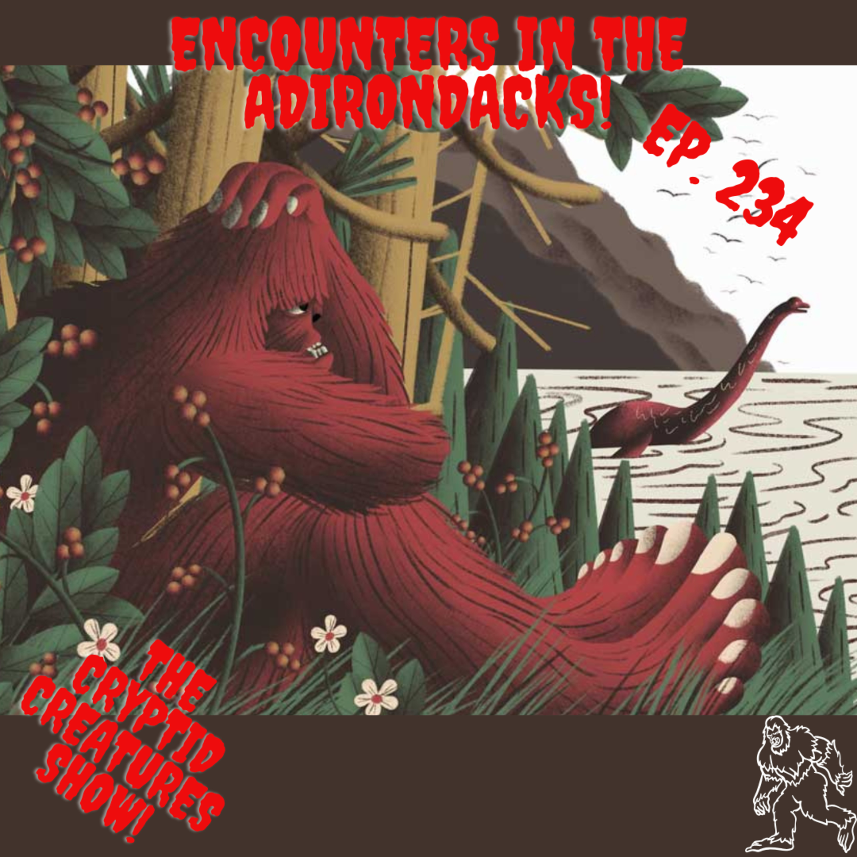 Encounters in the Adirondacks! EP. 234