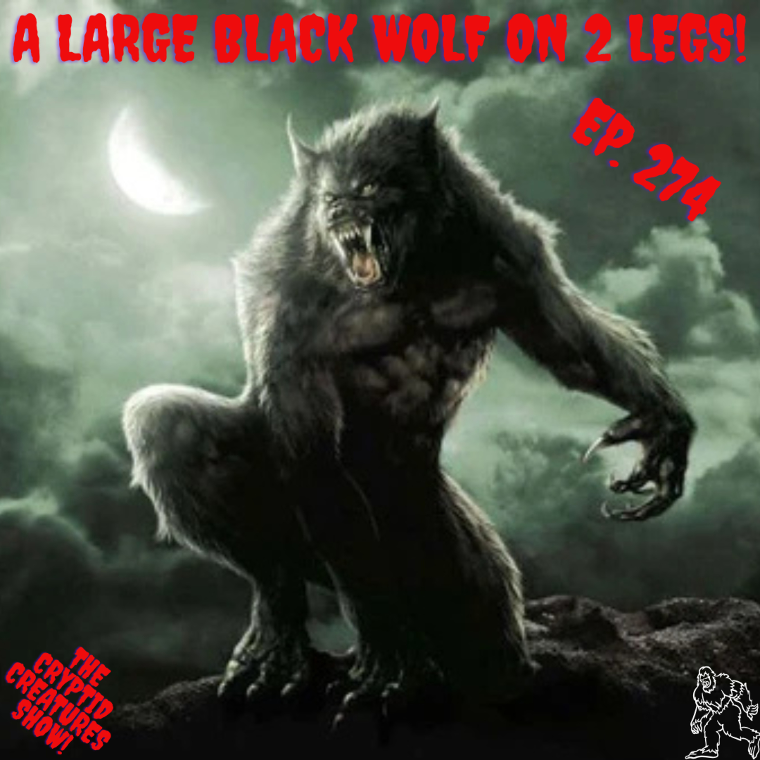 A Large Black Wolf on Two Legs! EP. 274 by Cryptid Creatures | Podchaser