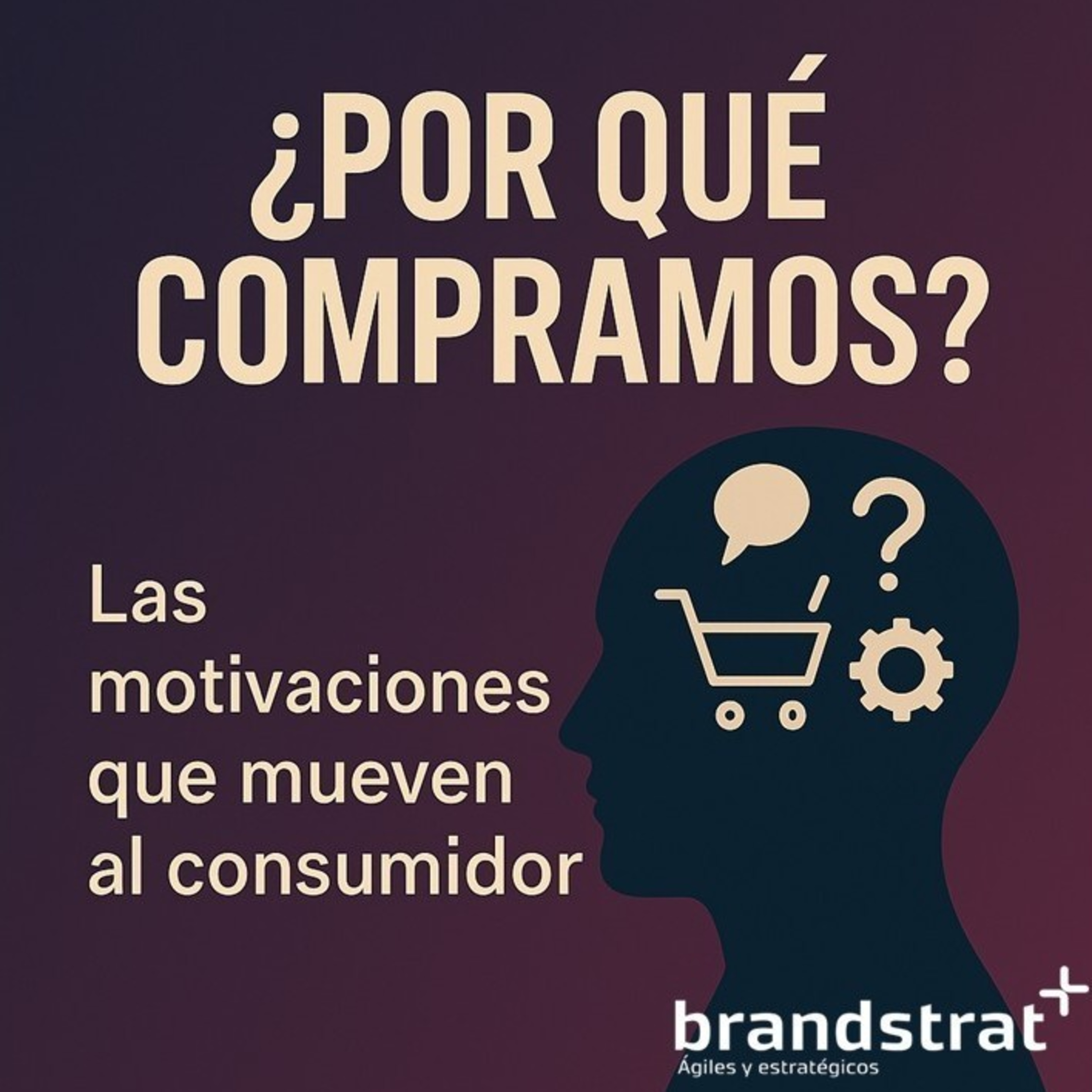 Descifrando al consumidor