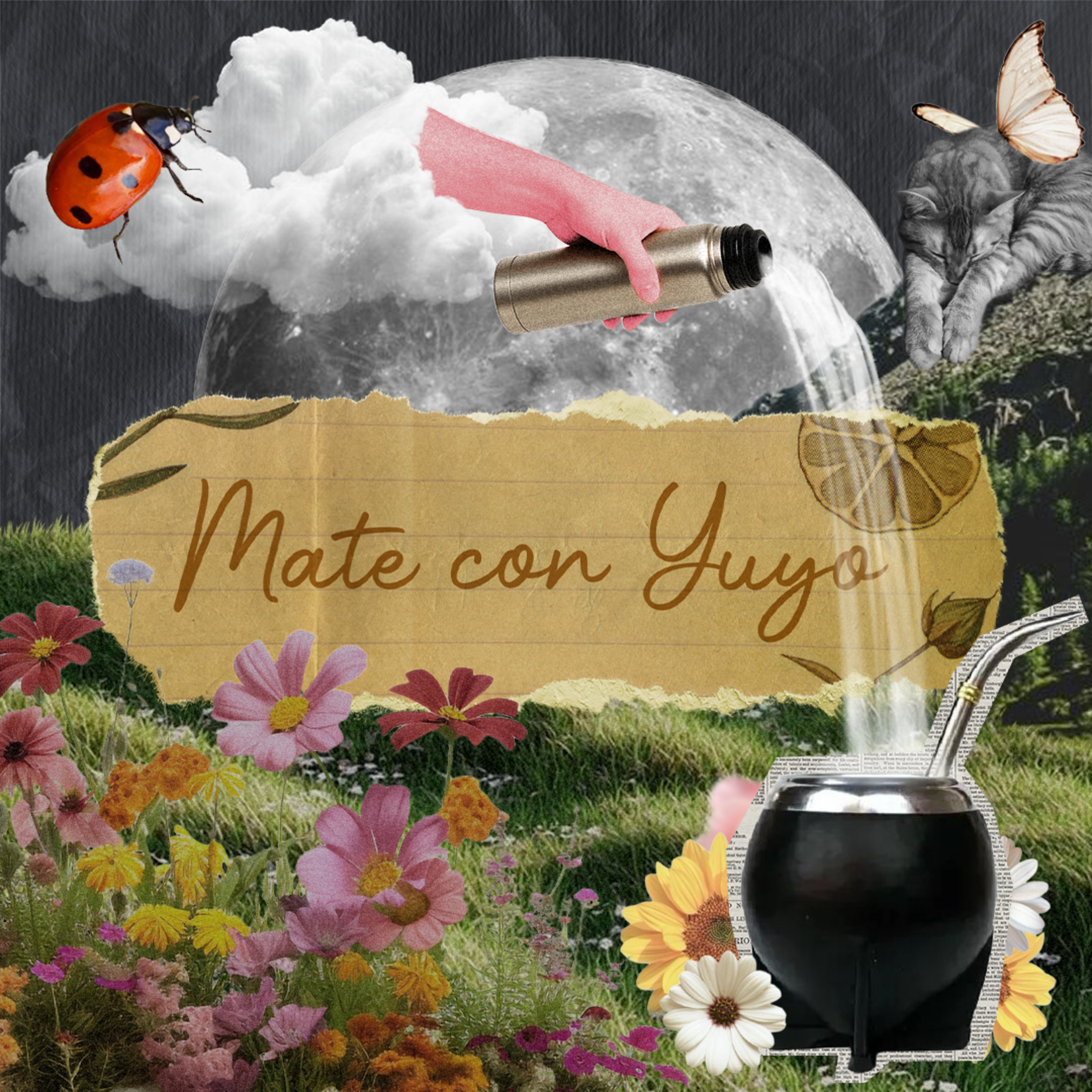 Cuando con amor no alcanza episode artwork