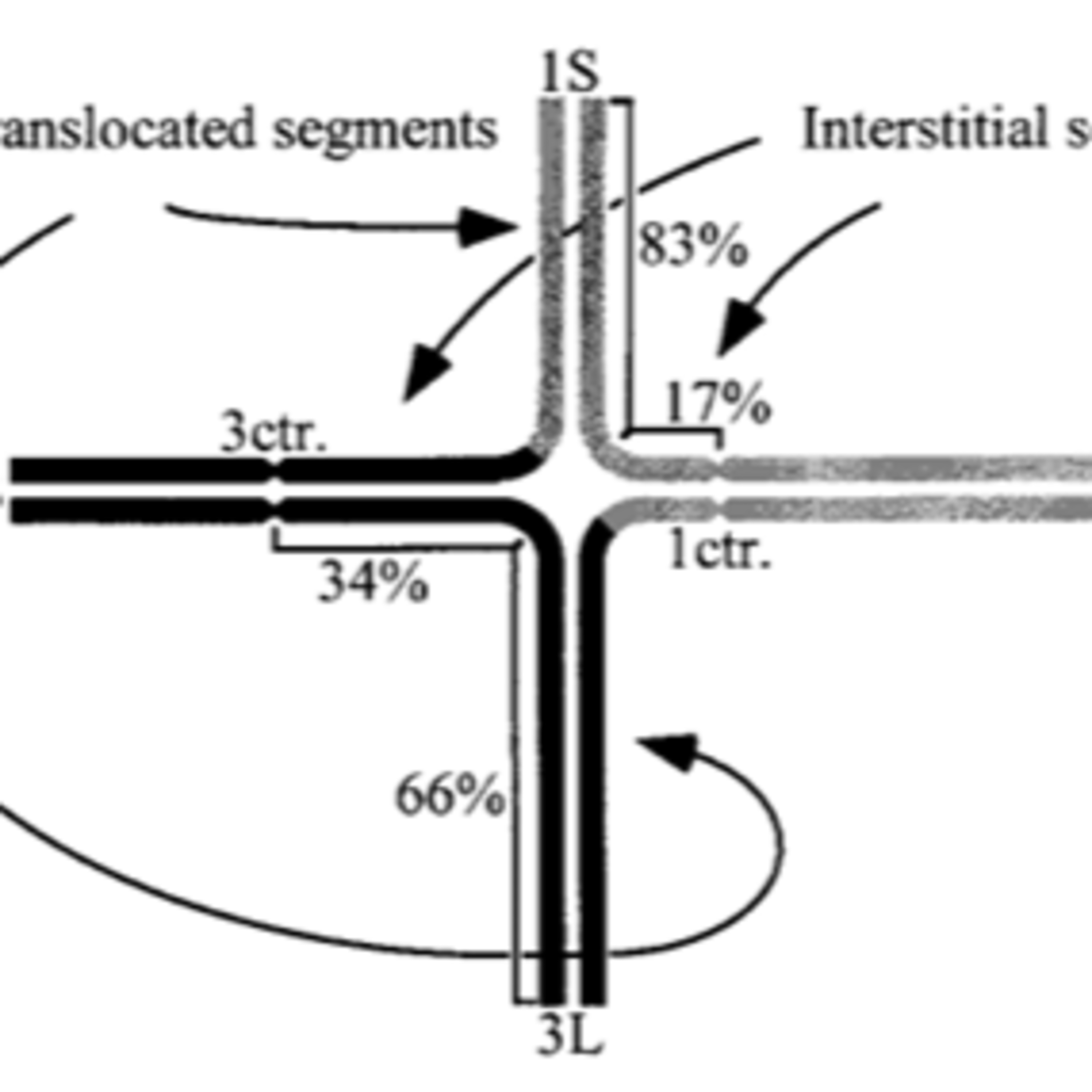 Negative Crossover Interference in Maize Translocation Heterozygotes episode artwork