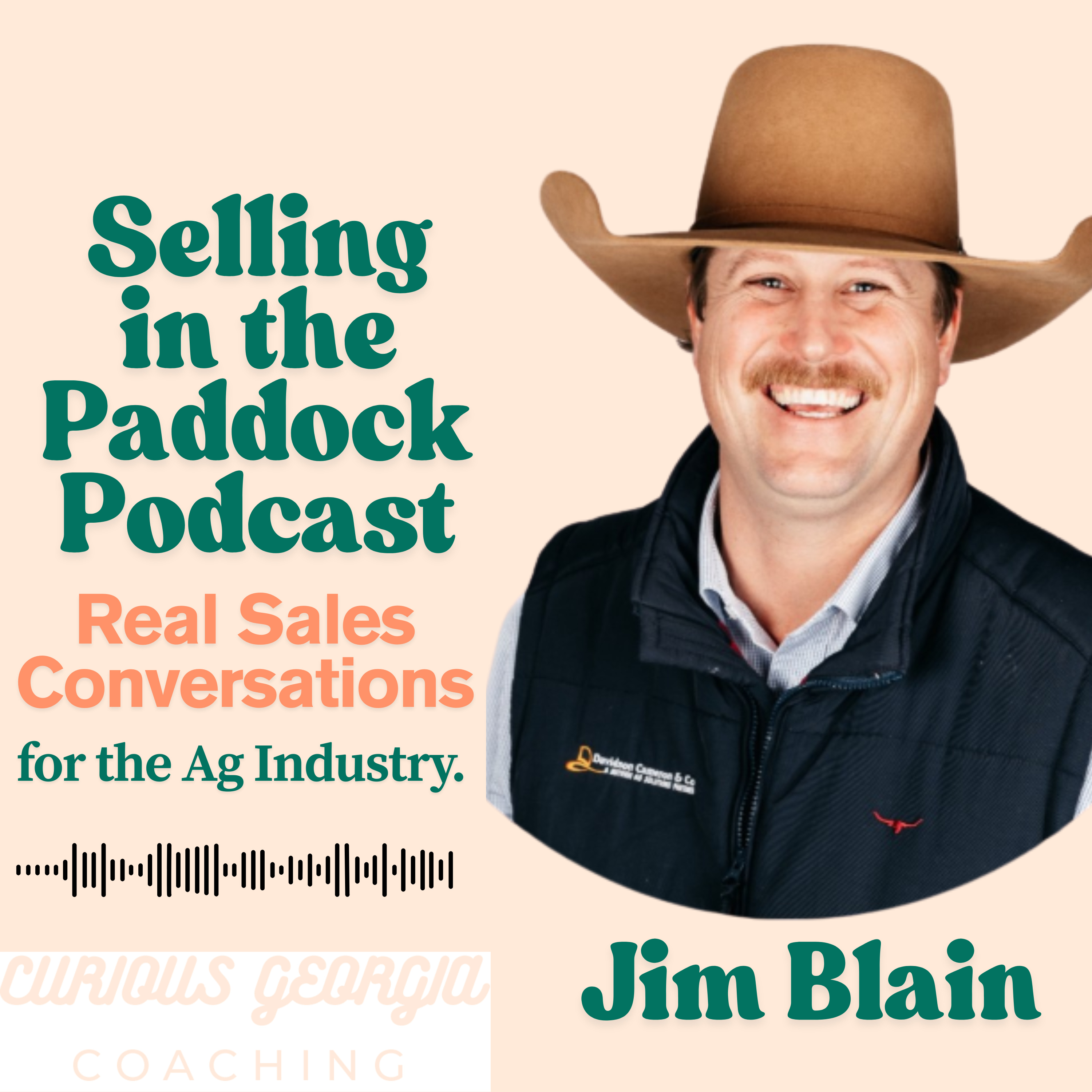 Selling in the Paddock