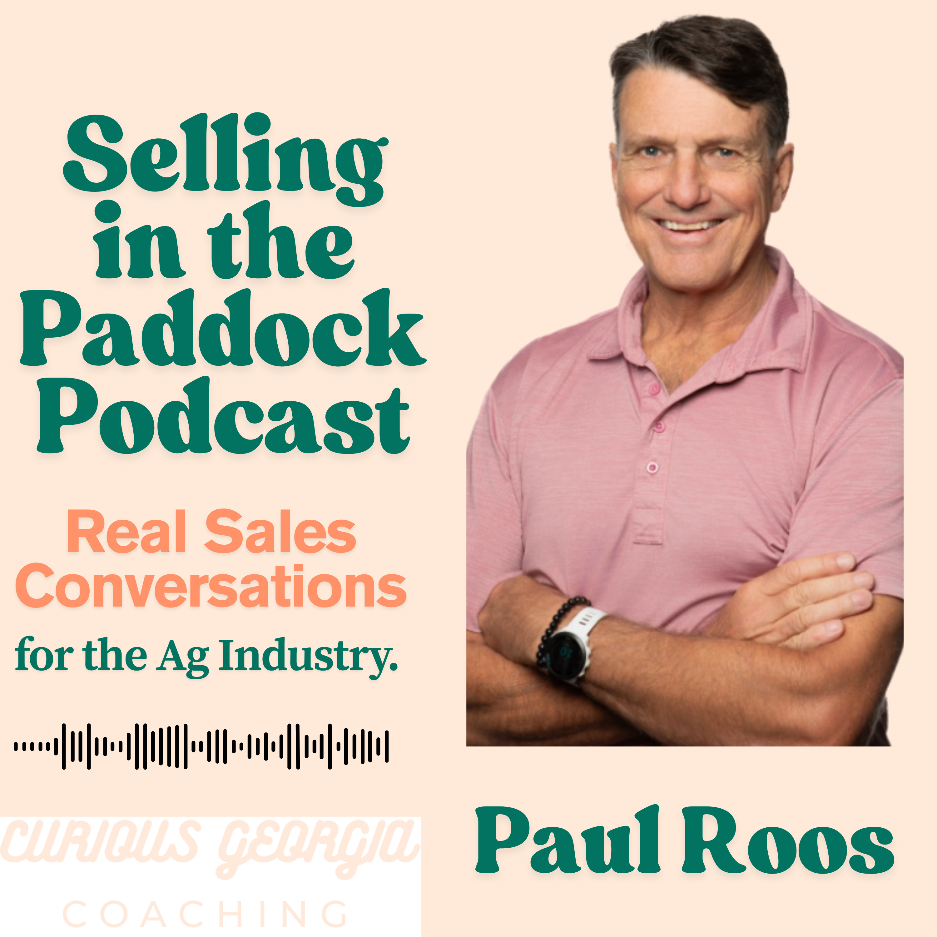 Selling in the Paddock