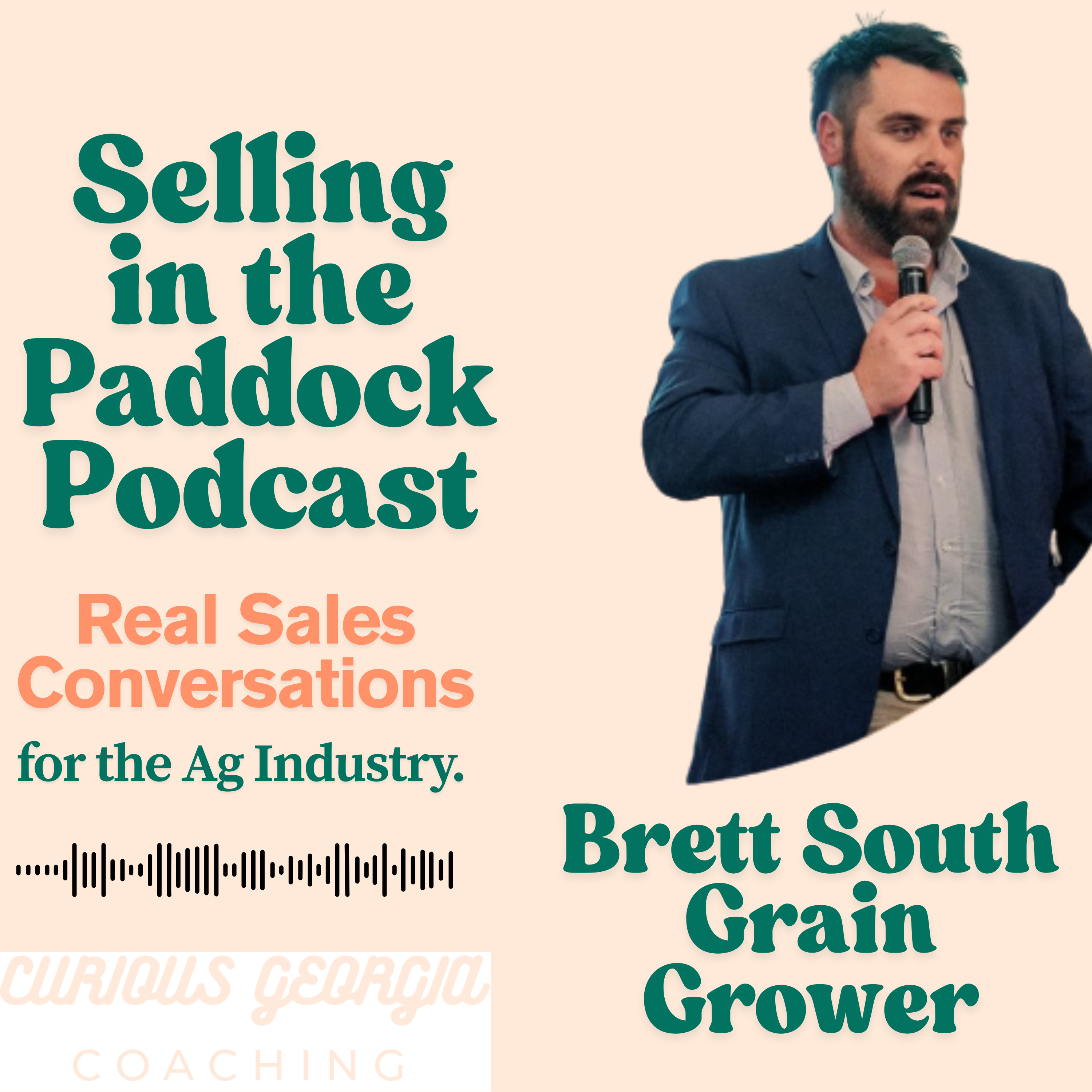 Selling in the Paddock