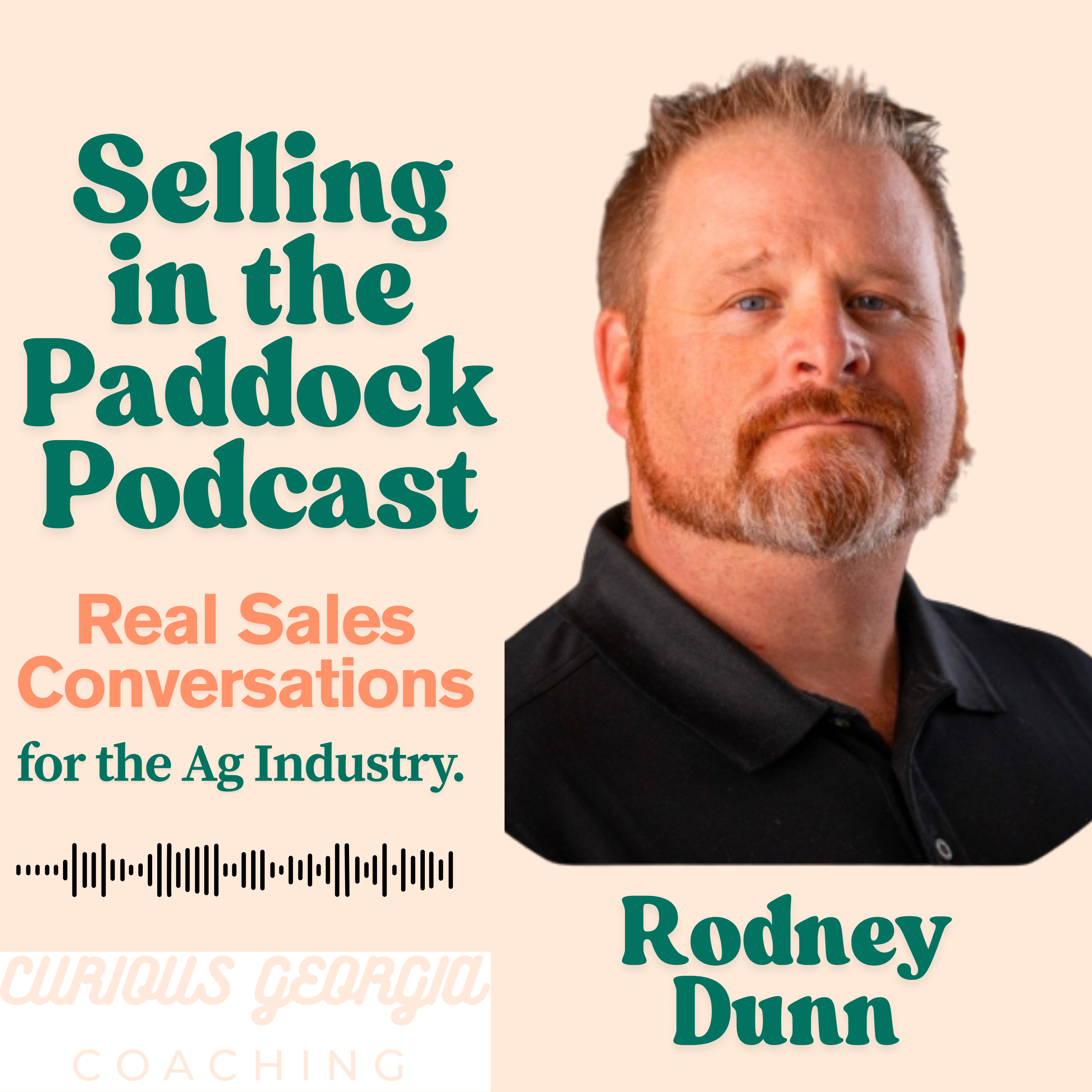 Selling in the Paddock