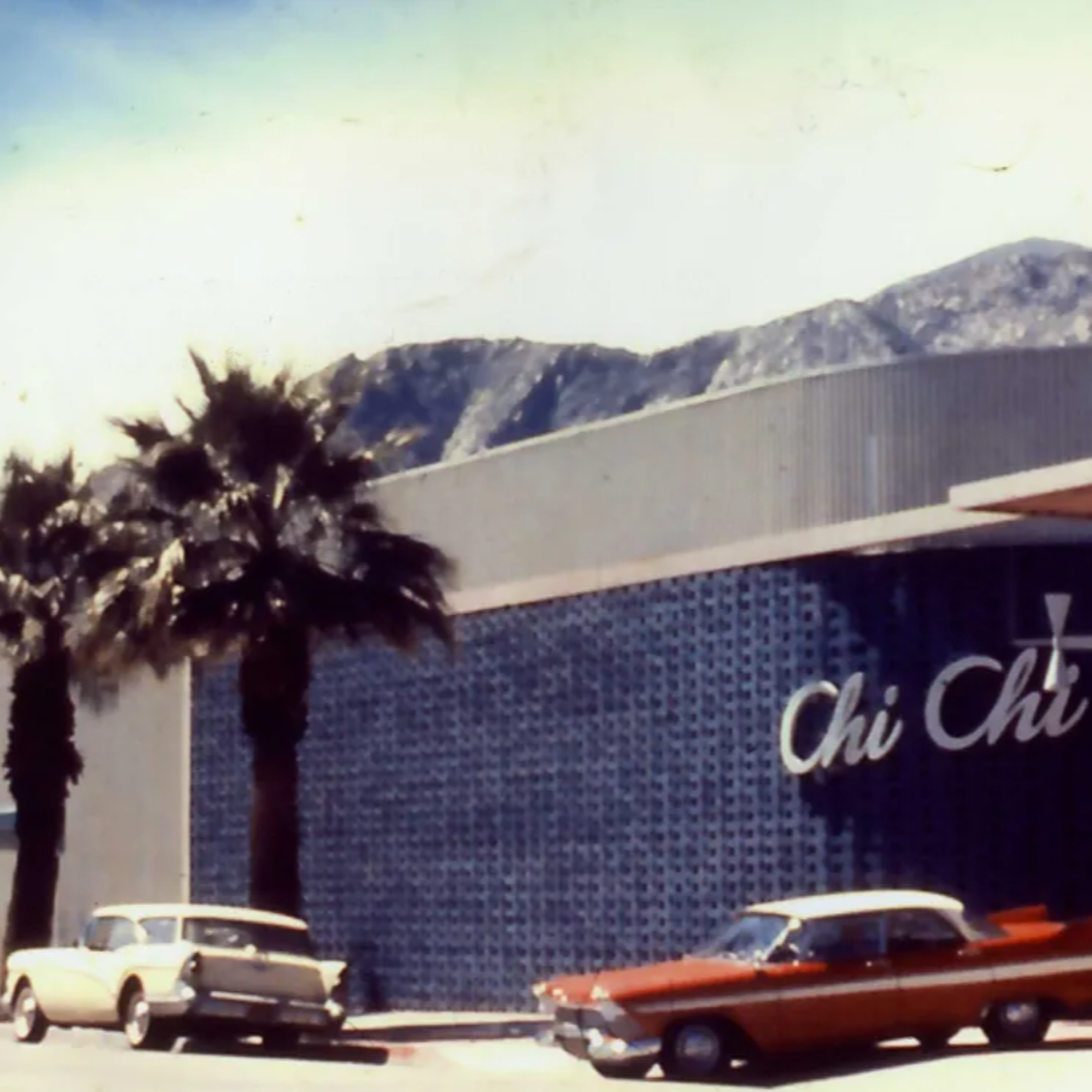 Spotlight on the Chi Chi Club!
