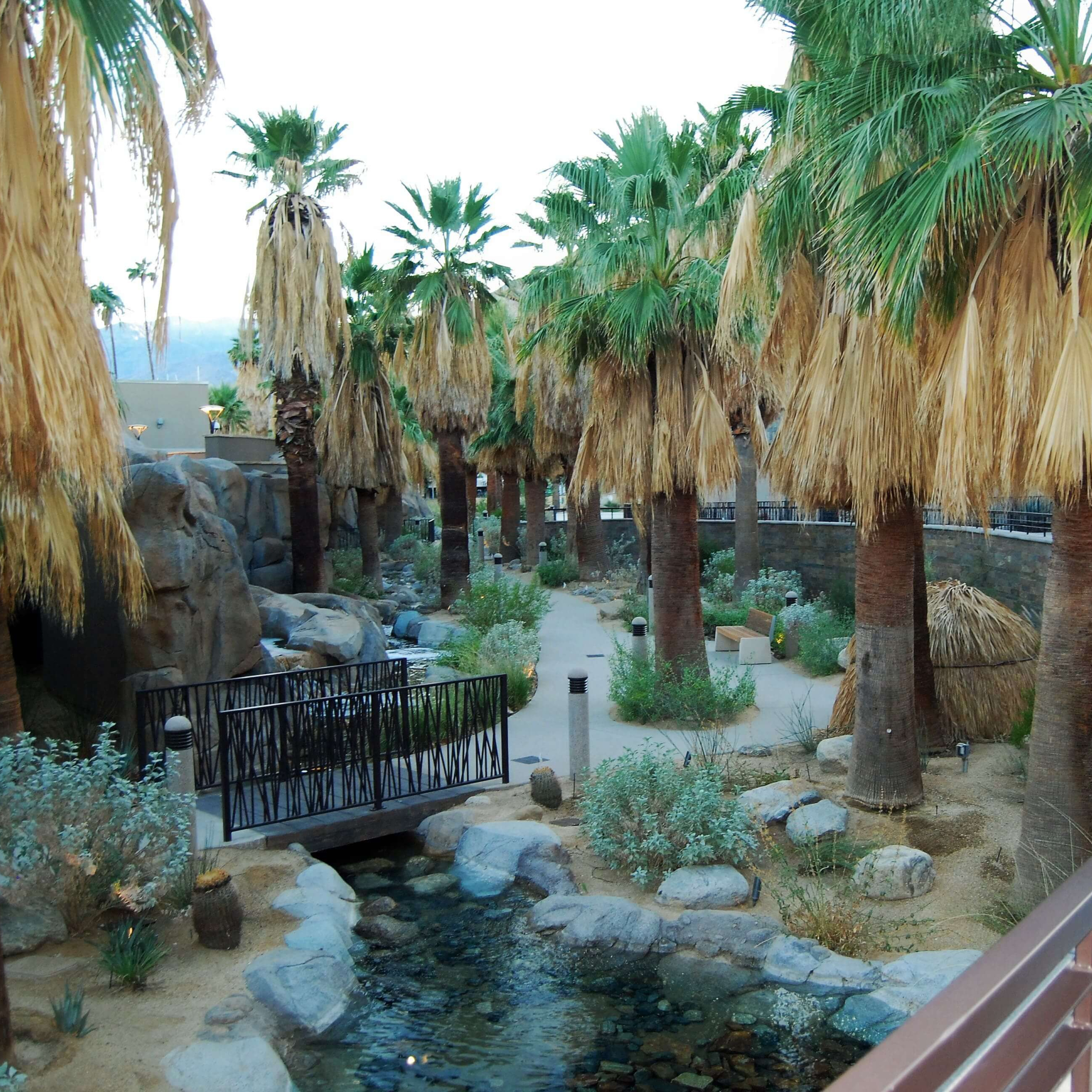 Hot Springs - Deep Roots