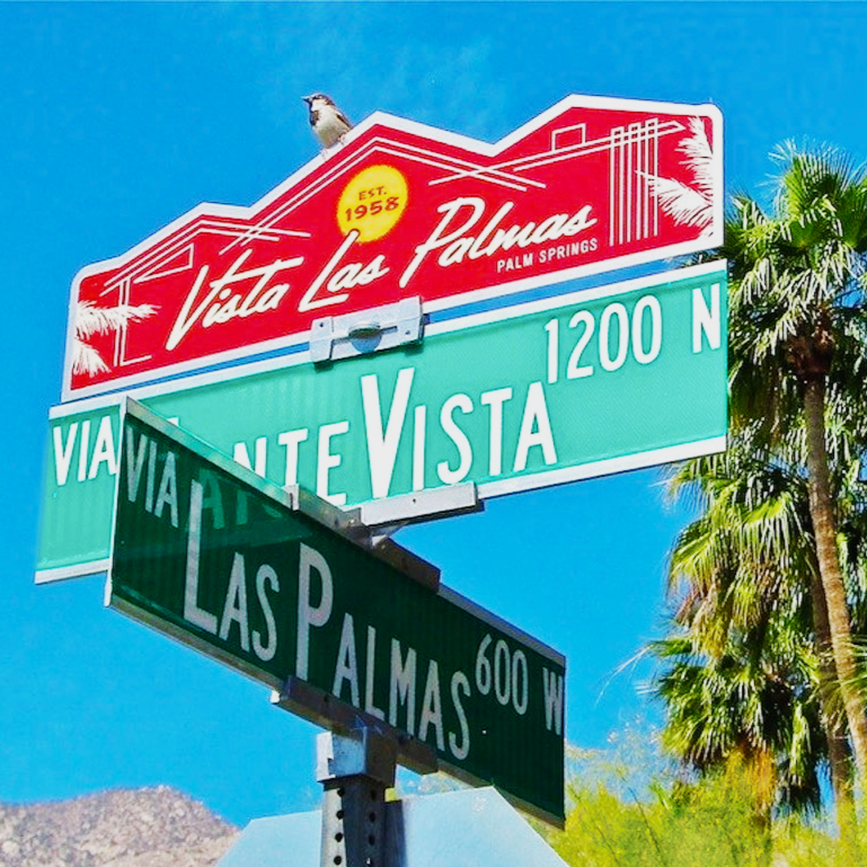 Explore Vista Las Palmas Neighborhood