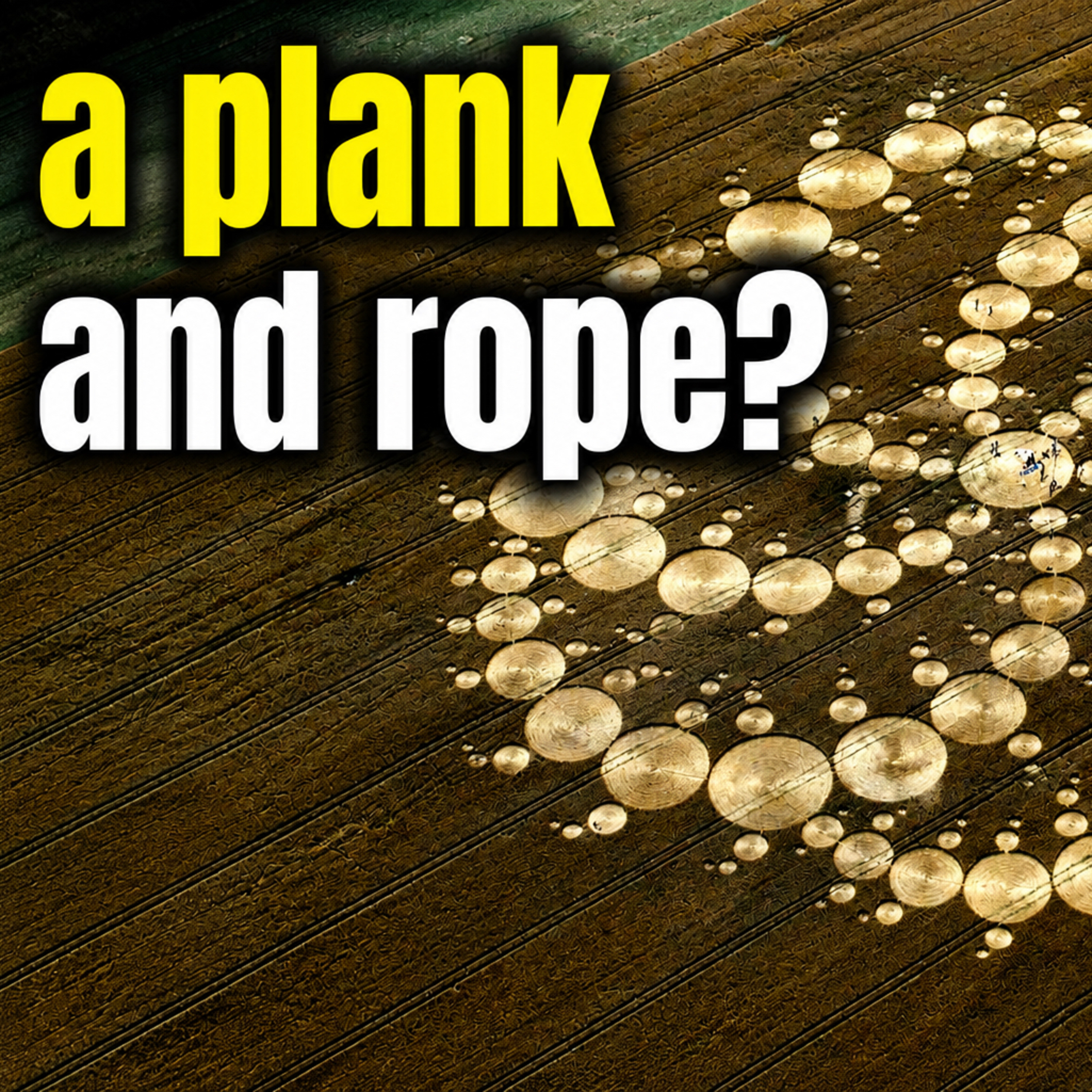 Not Every Crop Circle Can Be Made With a Board and String | Simon Young