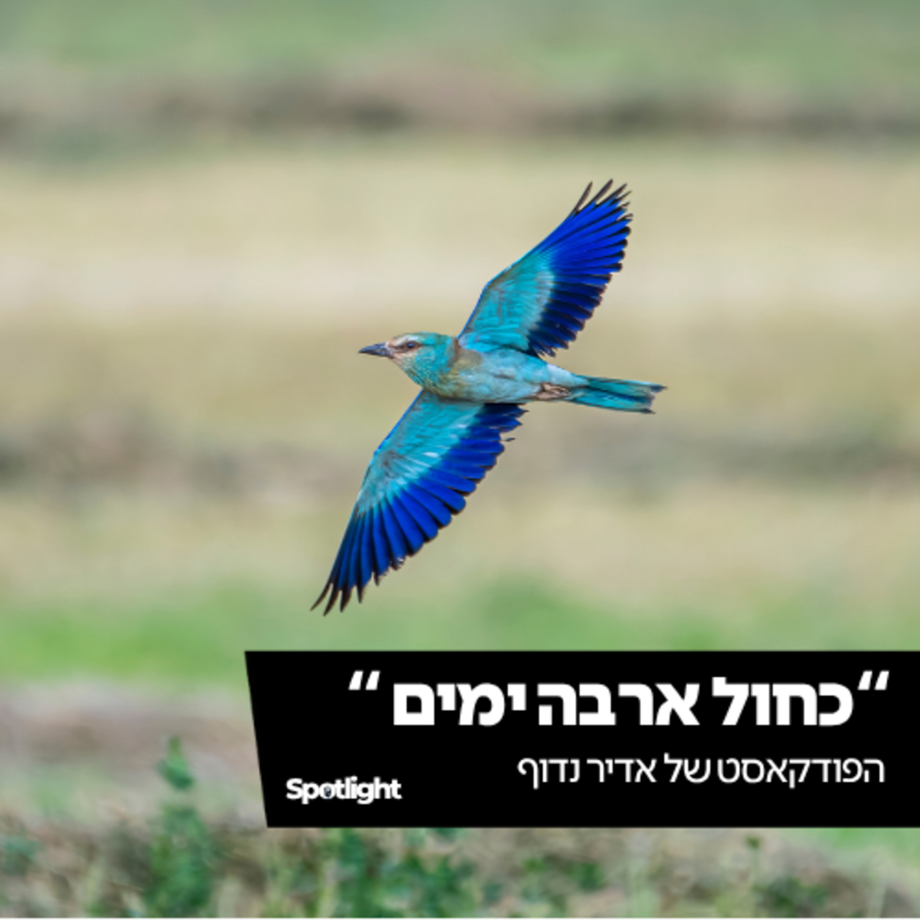 "כחול ארבה ימים" - הפודקאסט של אדיר נדוף episode artwork