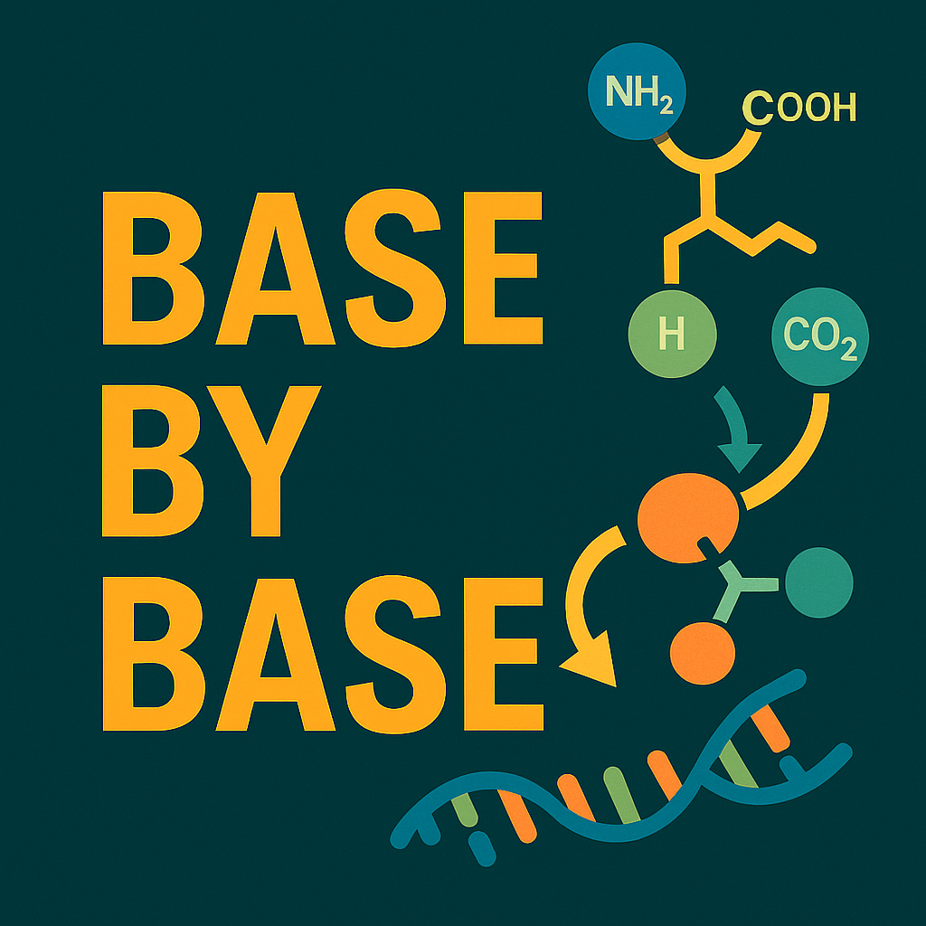 Base by Base