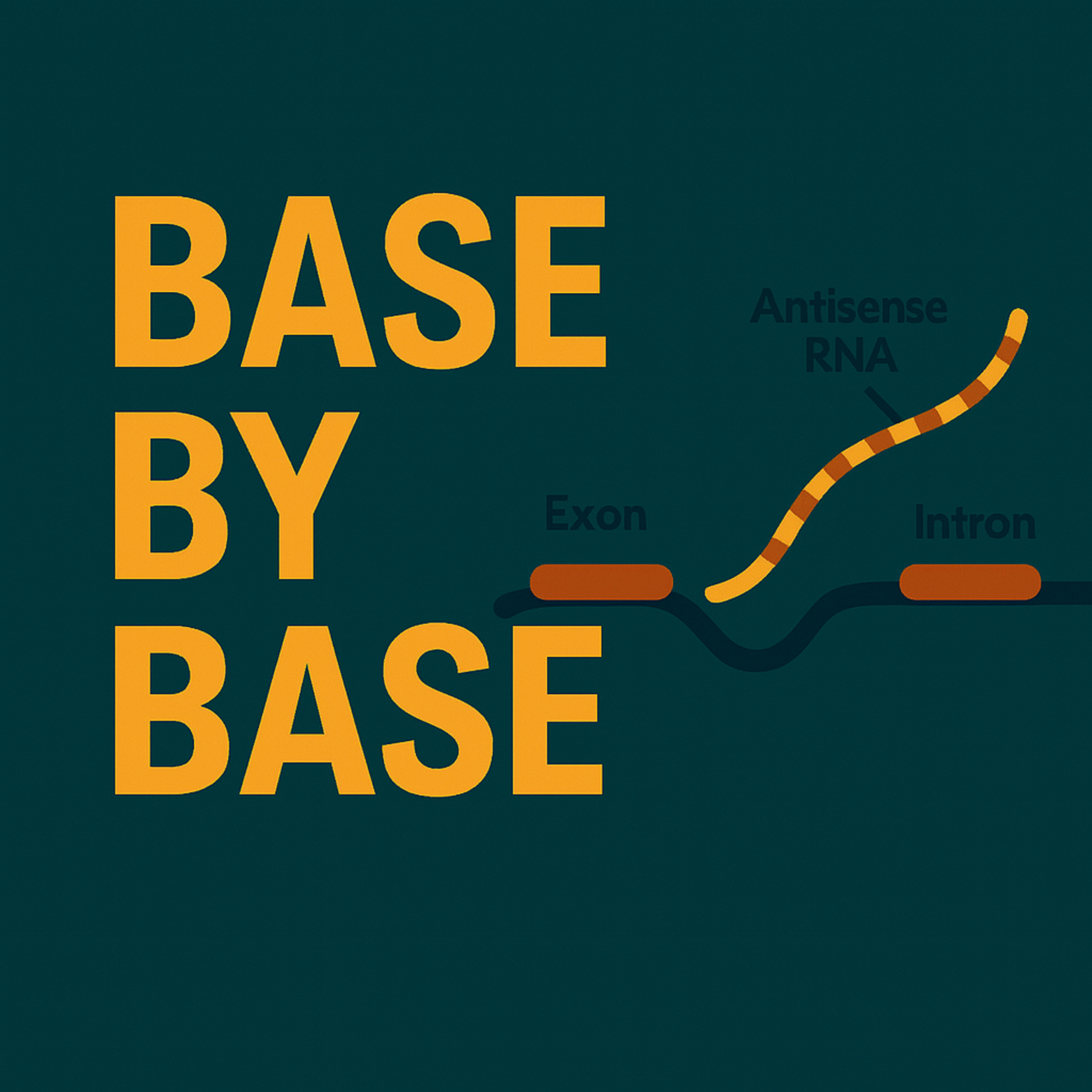 Base by Base