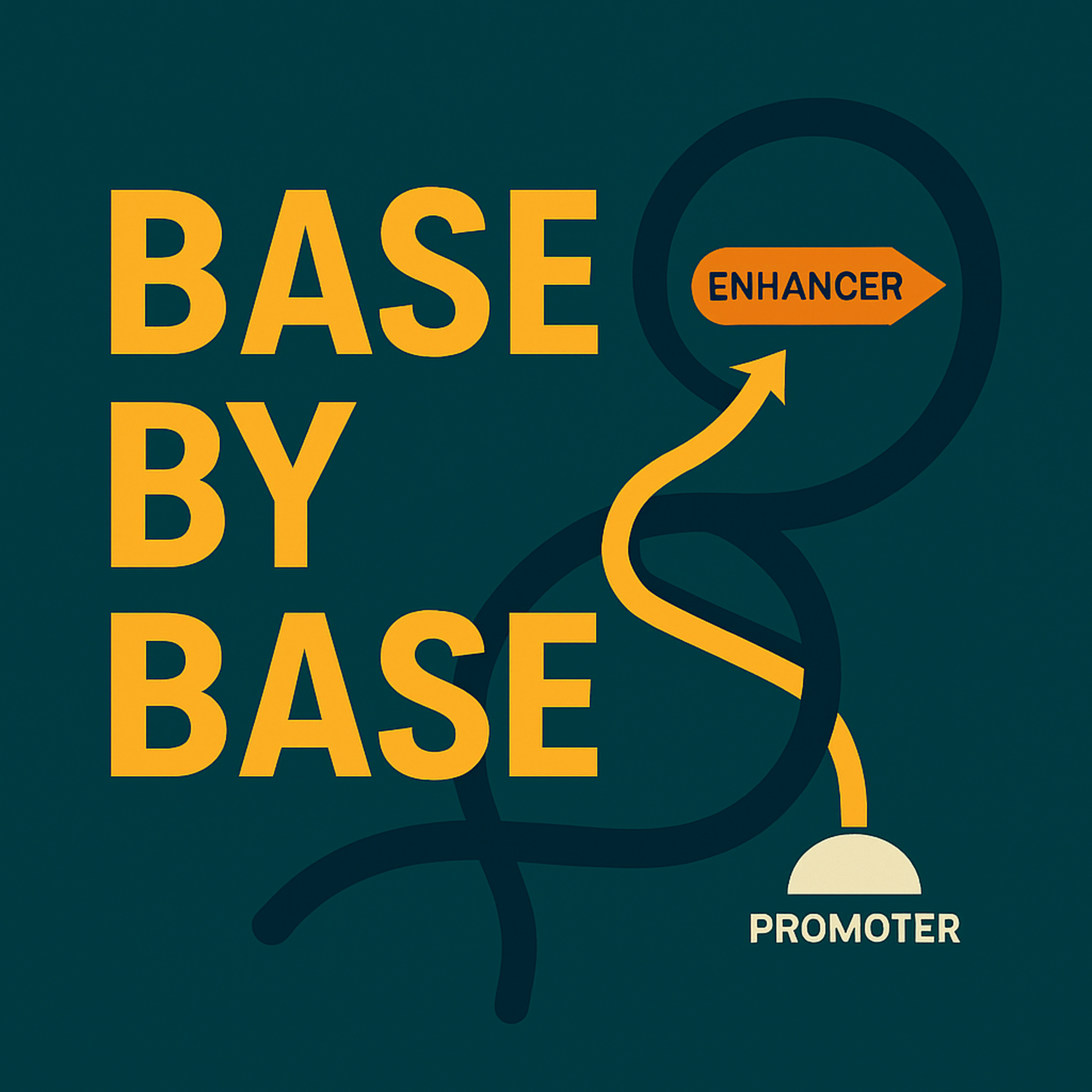 Base by Base