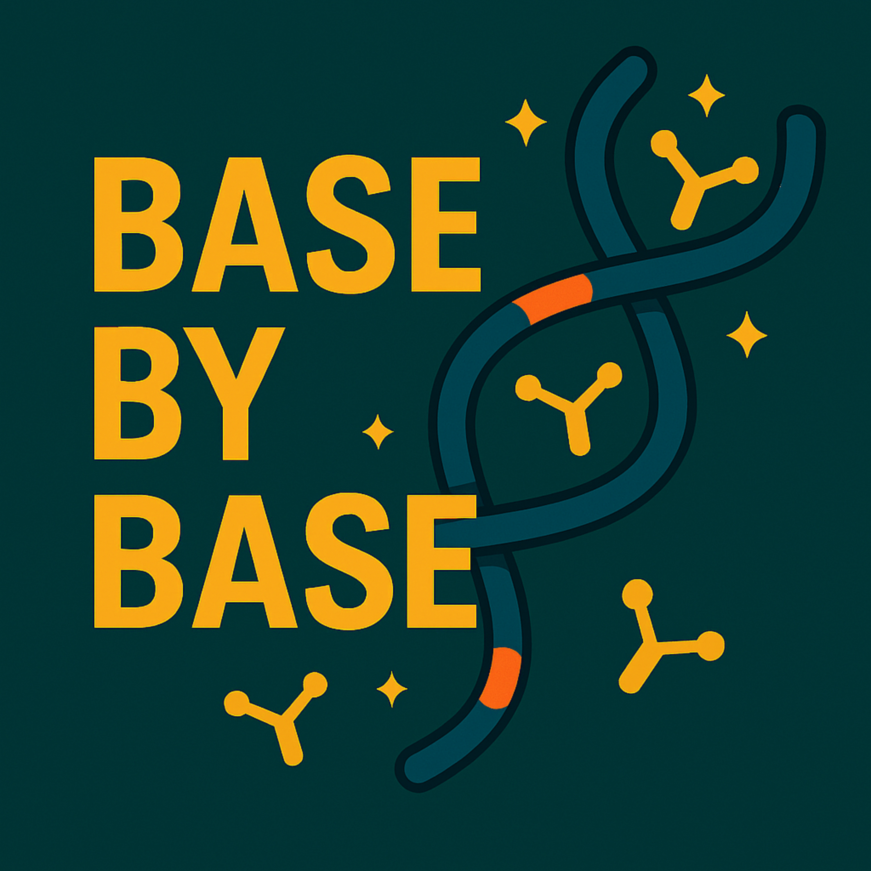 Base by Base
