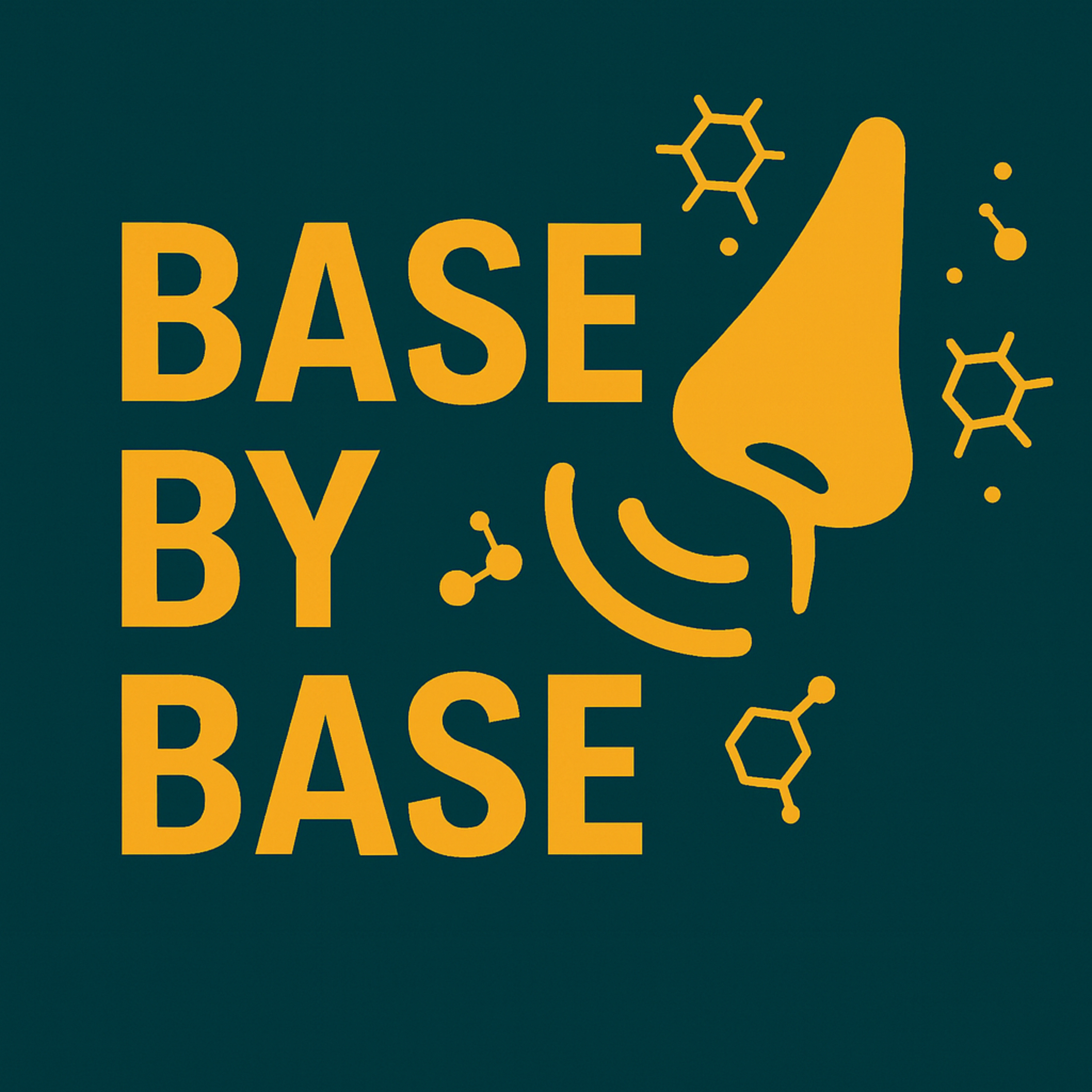 Base by Base