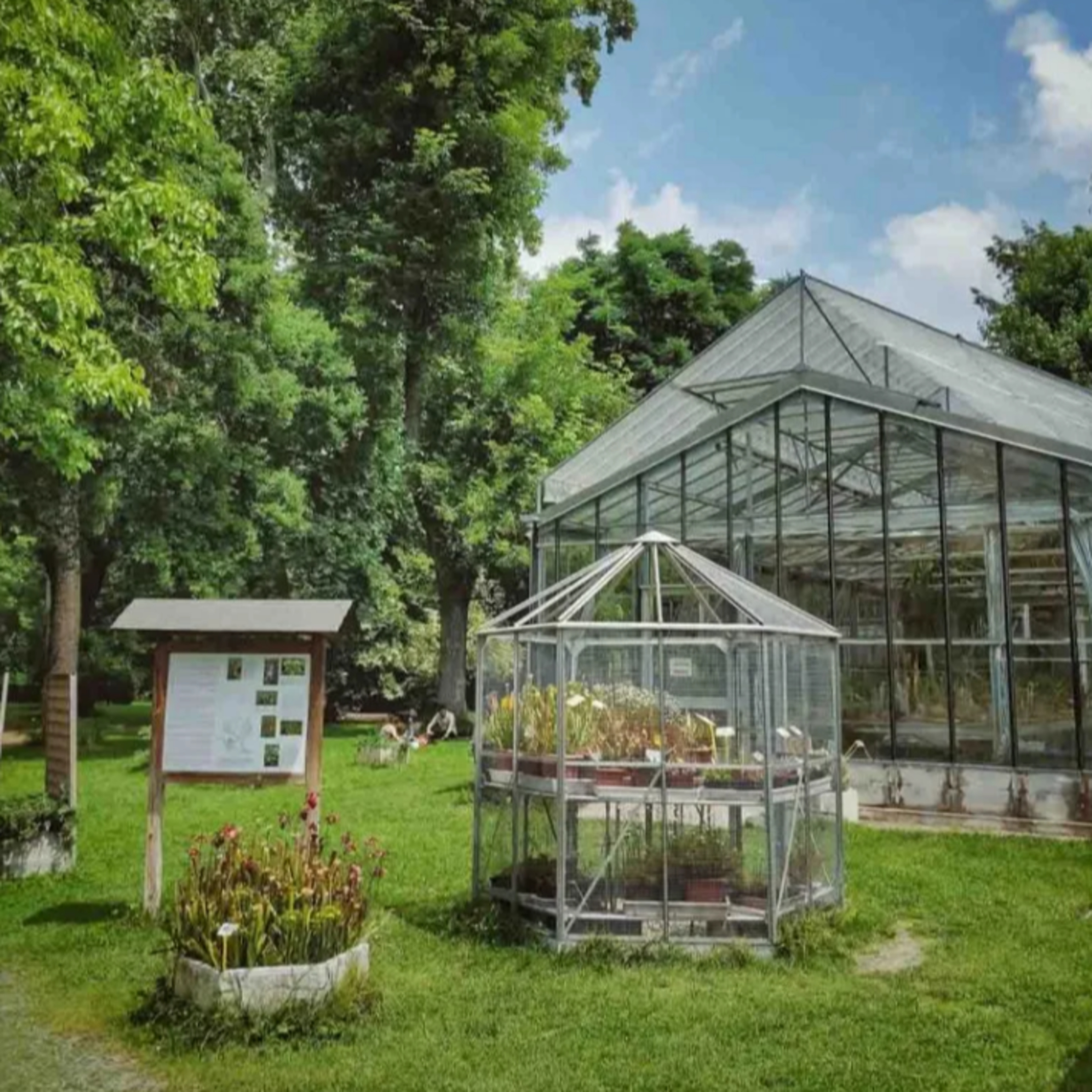 The Botanical Garden episode artwork