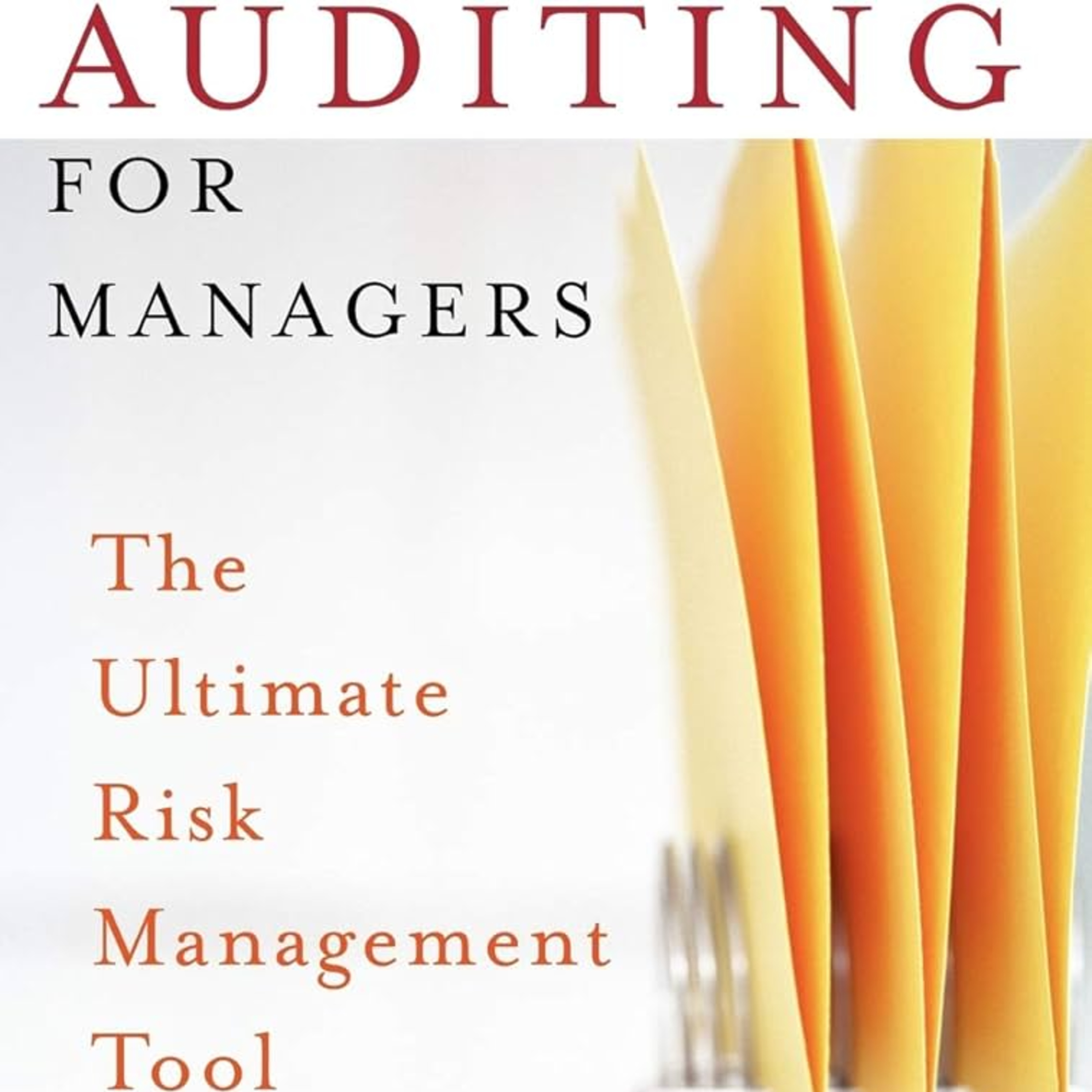 Auditing for Managers: The Ultimate Risk Management Tool episode artwork