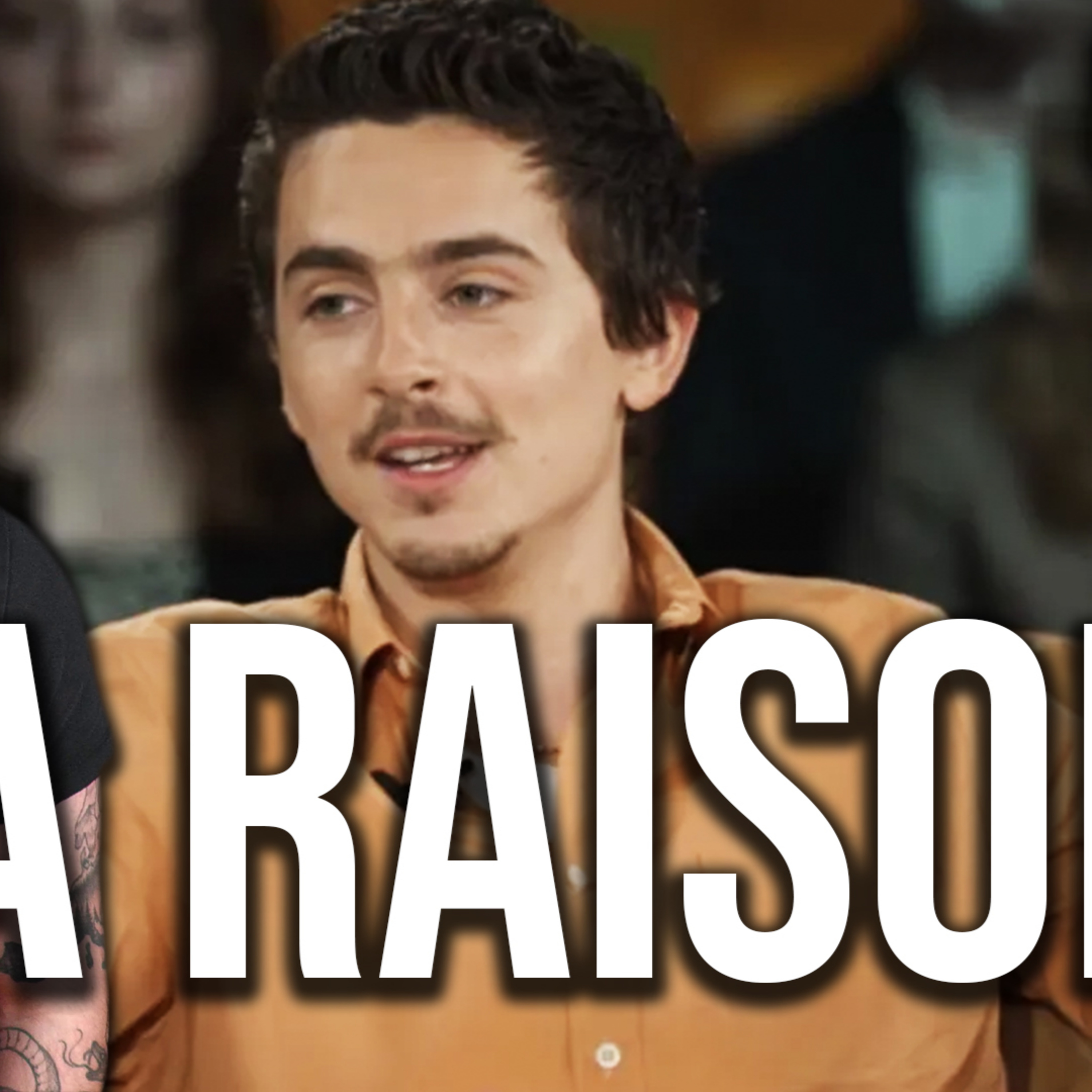 Timothée Chalamet crée une grosse polémique ! (ballet, opéra, cinéma ...) episode artwork