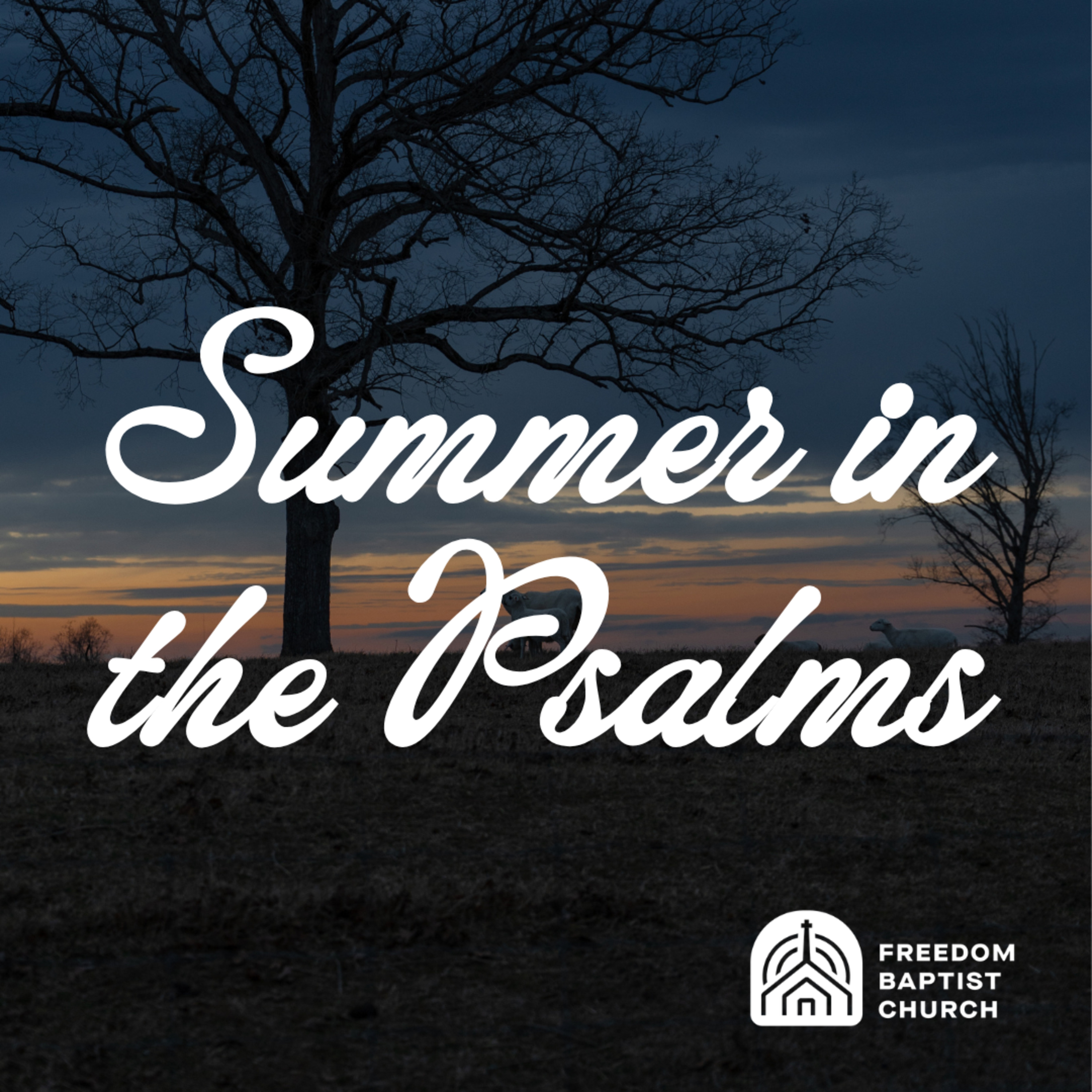 The Lord's King | Psalm 2 | Assistant Pastor Noah Hooper episode artwork