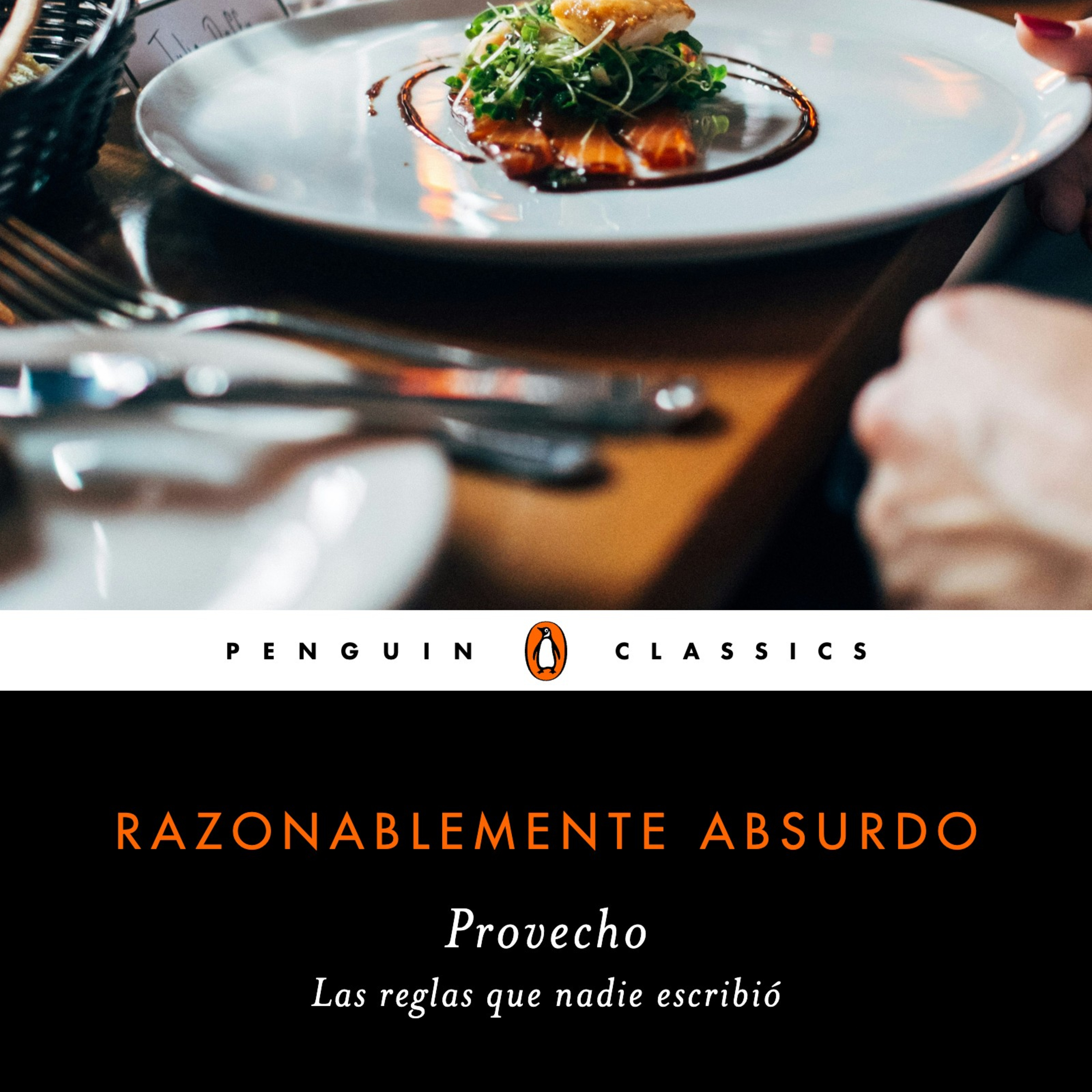 Portada de Razonablemente Absurdo