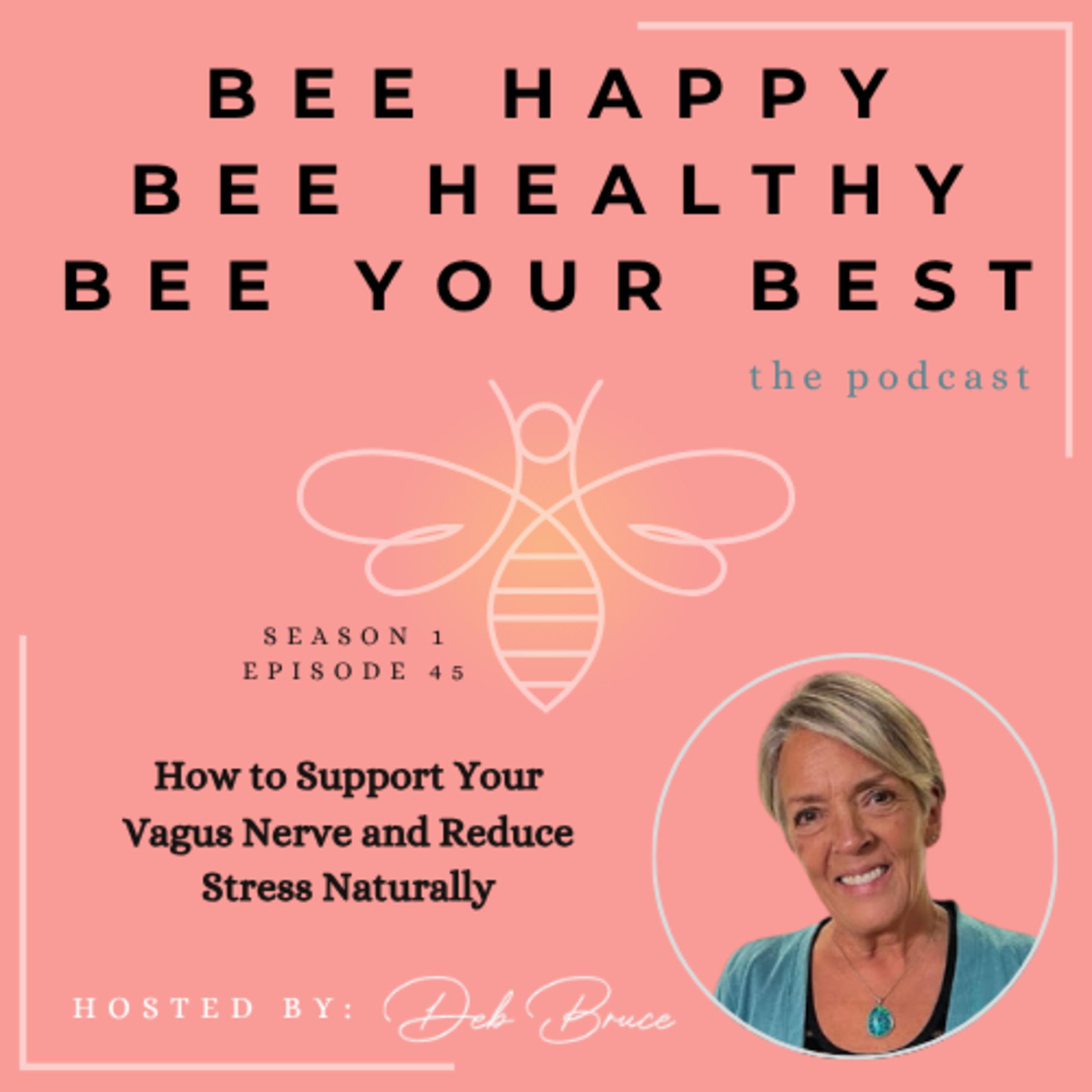 Ep. 45 | How to Support Your Vagus Nerve and Reduce Stress Naturally episode artwork