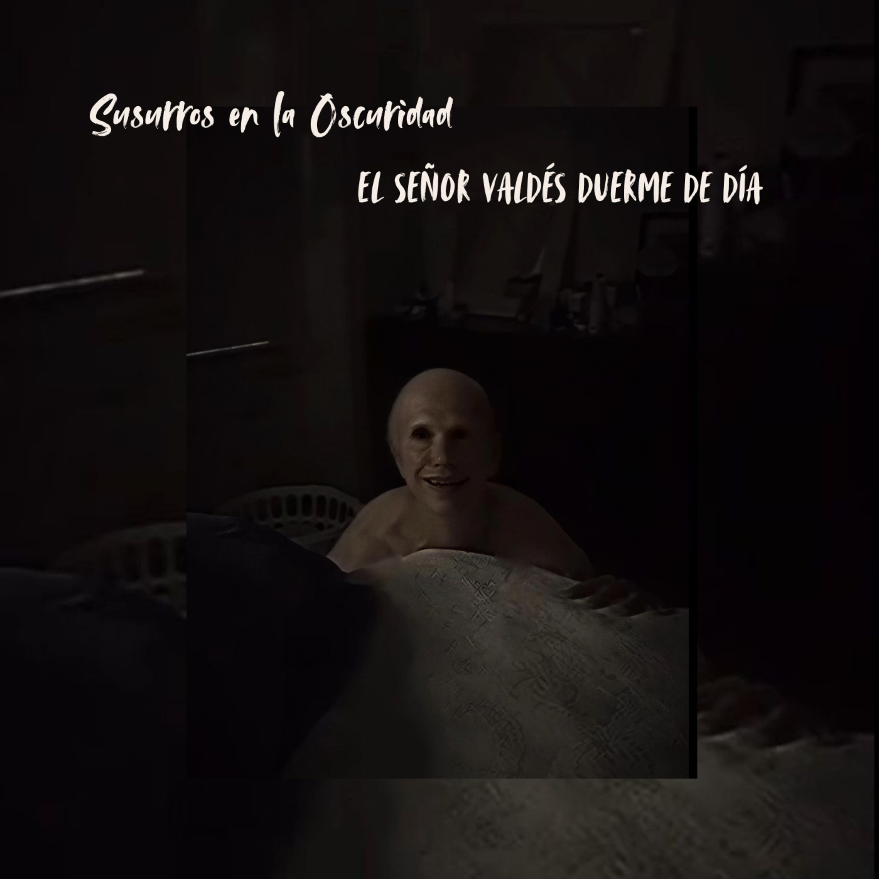 El señor Valdés duerme de día episode artwork