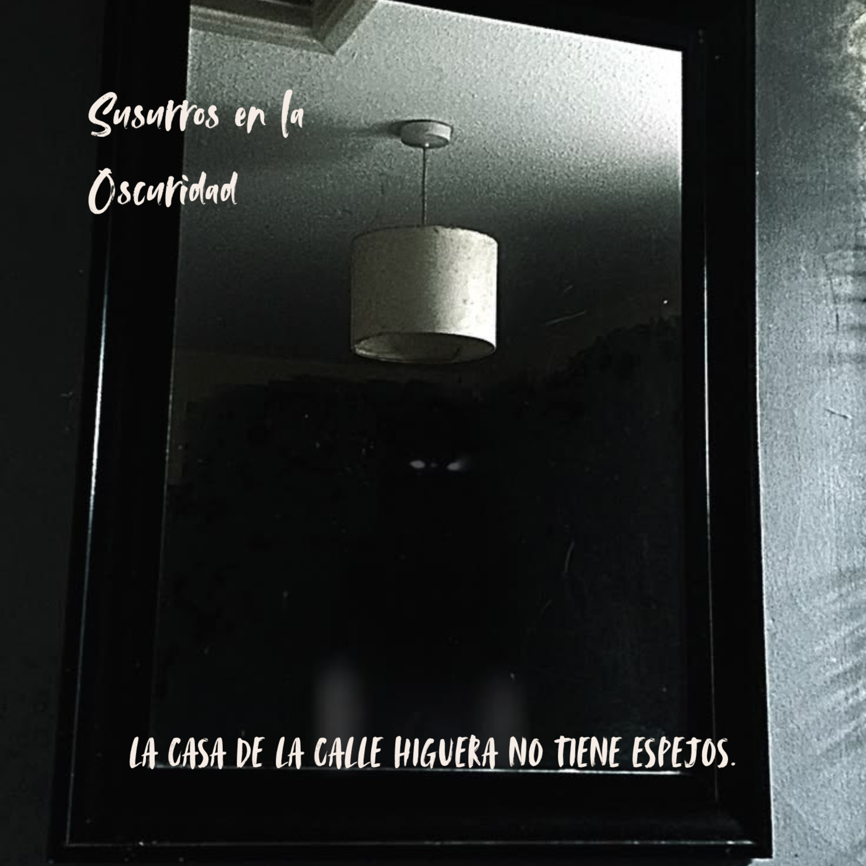 La casa de la calle Higuera no tiene espejos. episode artwork
