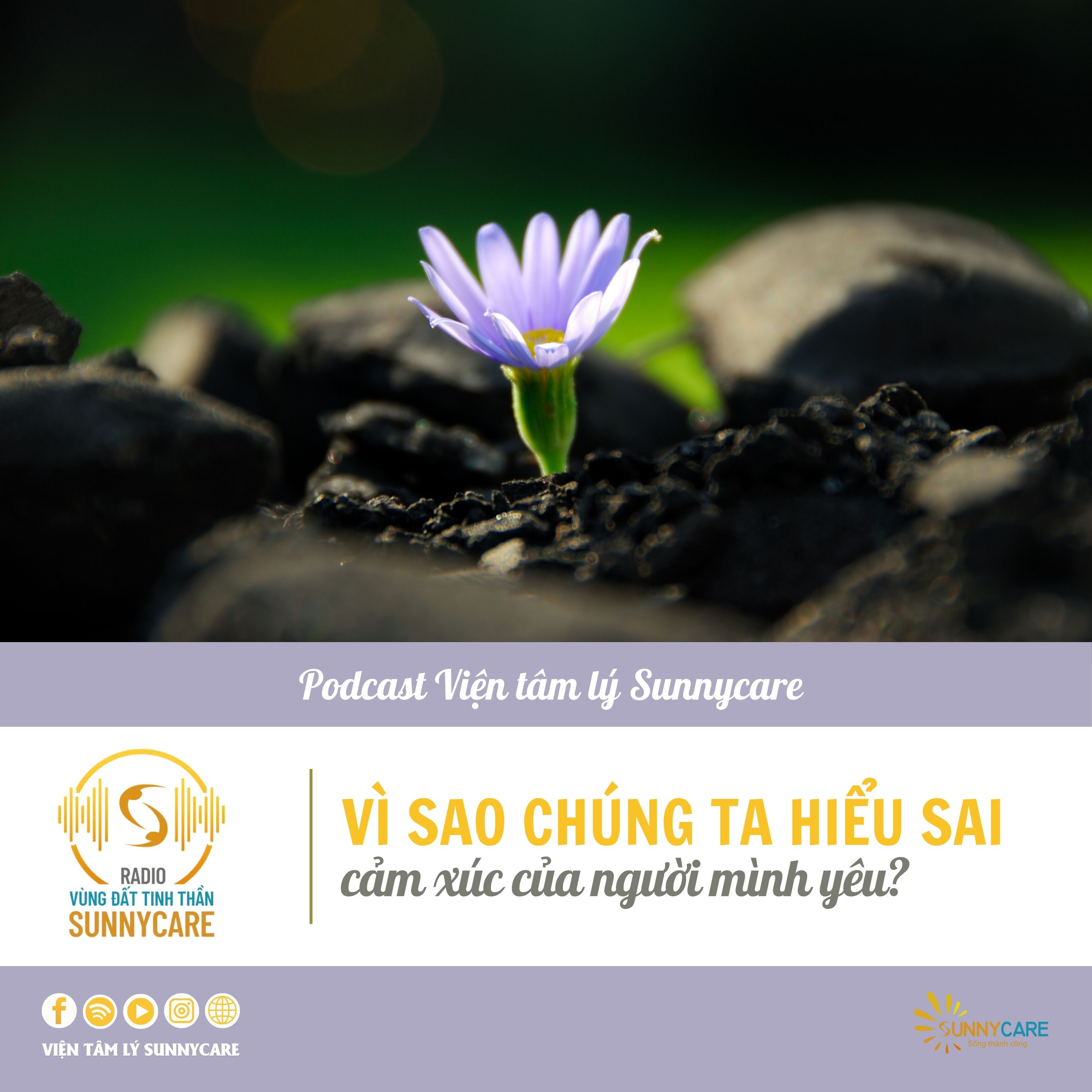  Tập 132: Vì sao chúng ta dễ hiểu sai cảm xúc của người mình yêu? episode artwork