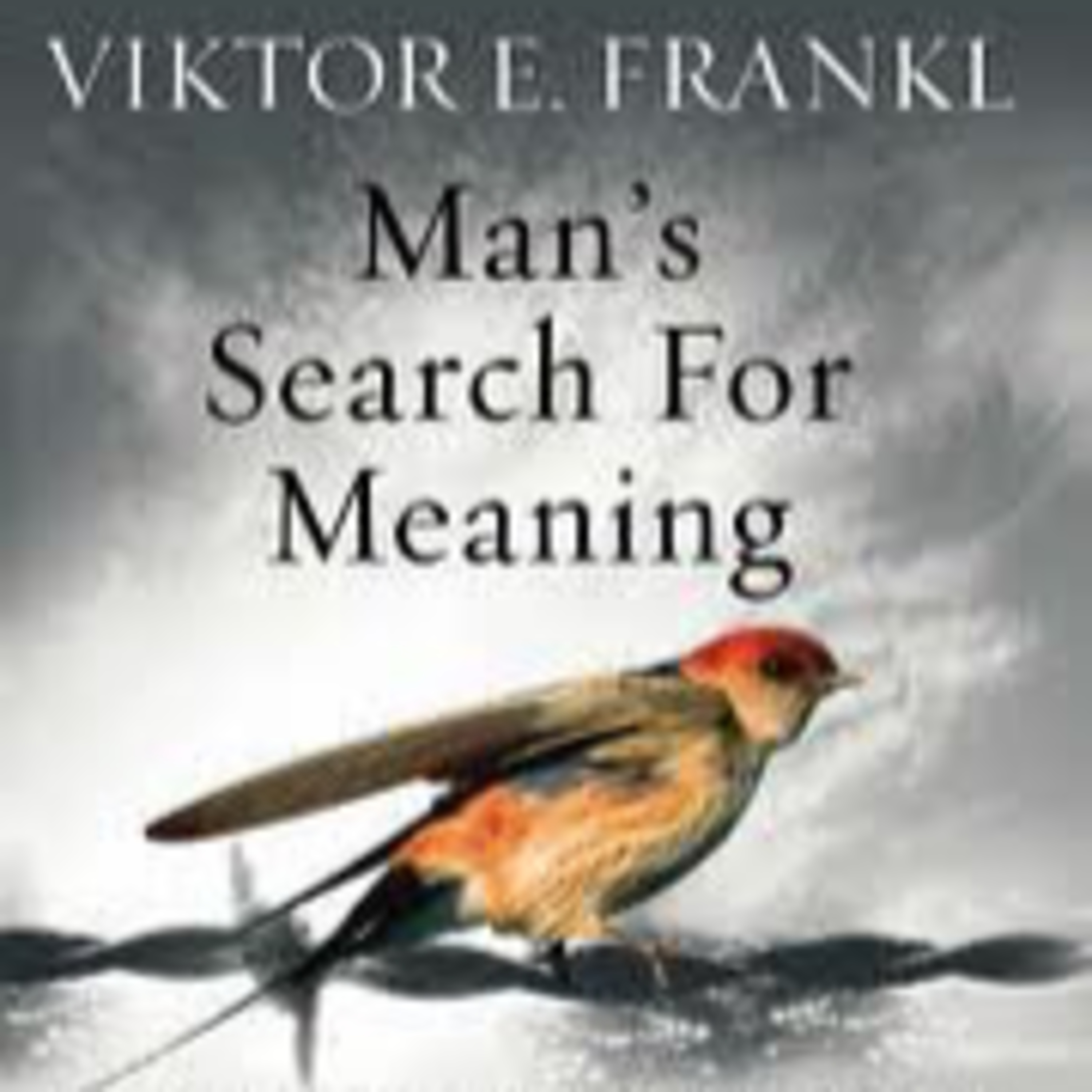 Man's Search For Meaning - ਇੱਕ Holocaust Survivor ਦੀ ਕਹਾਣੀ episode artwork