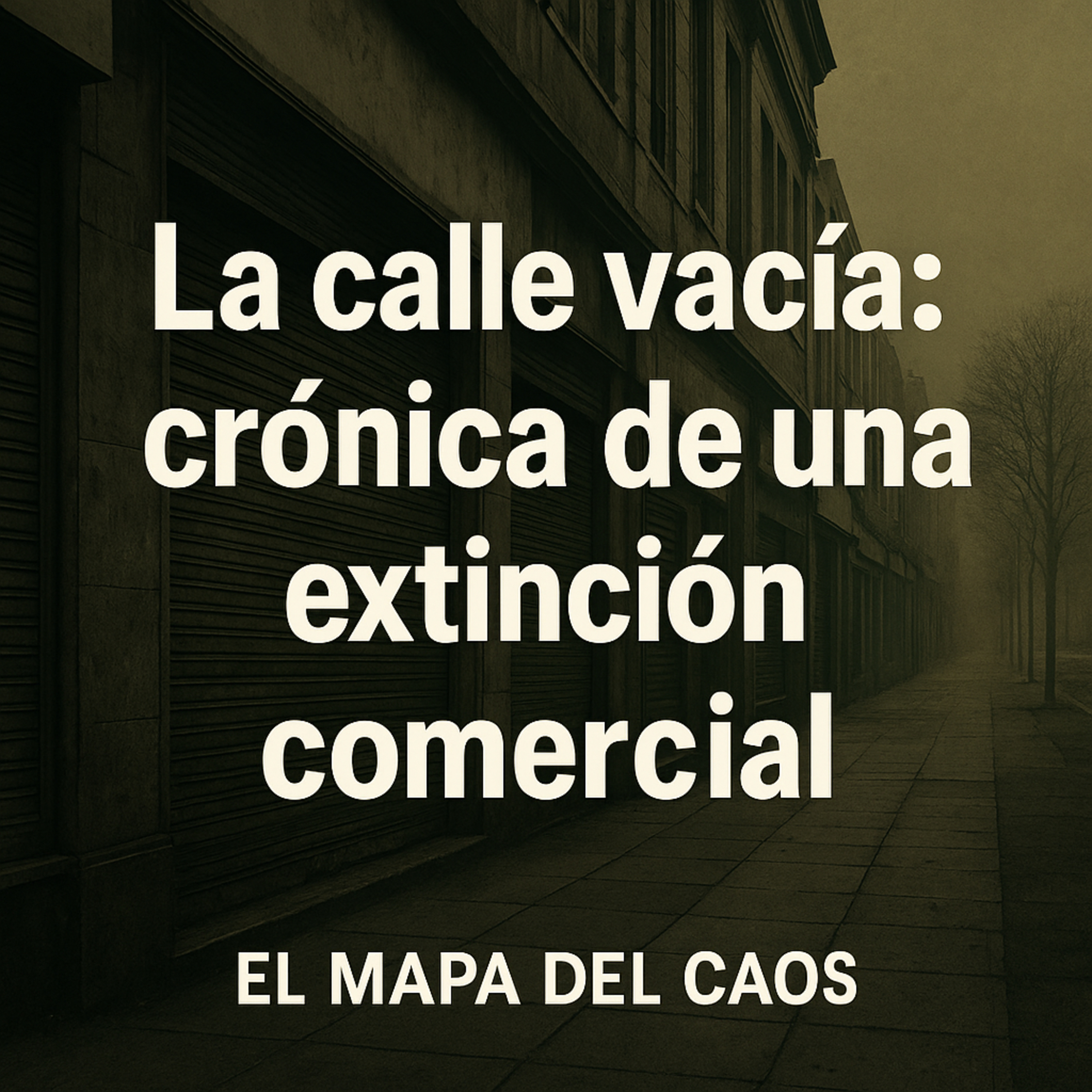 La calle vacía: cómo desaparecieron los comercios físicos desde 2026 | El Mapa del Caos episode artwork