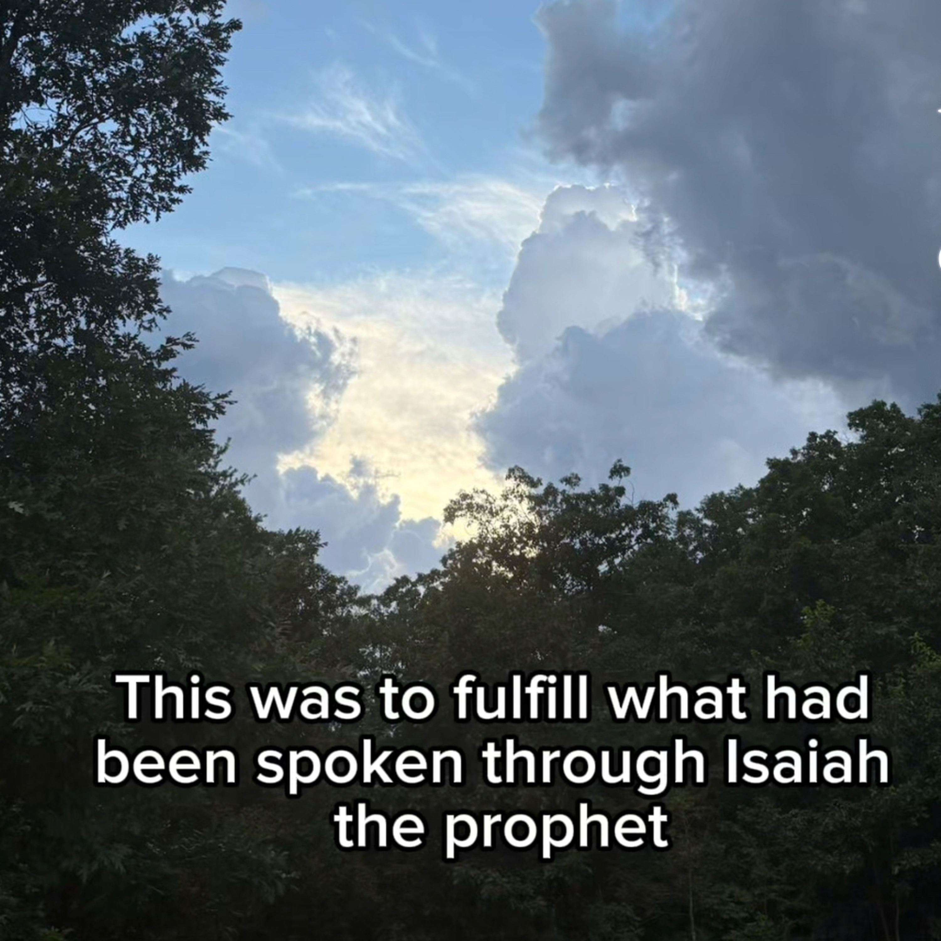 #94 What does Jesus do in conflict?Matthew 12:14-21 episode artwork