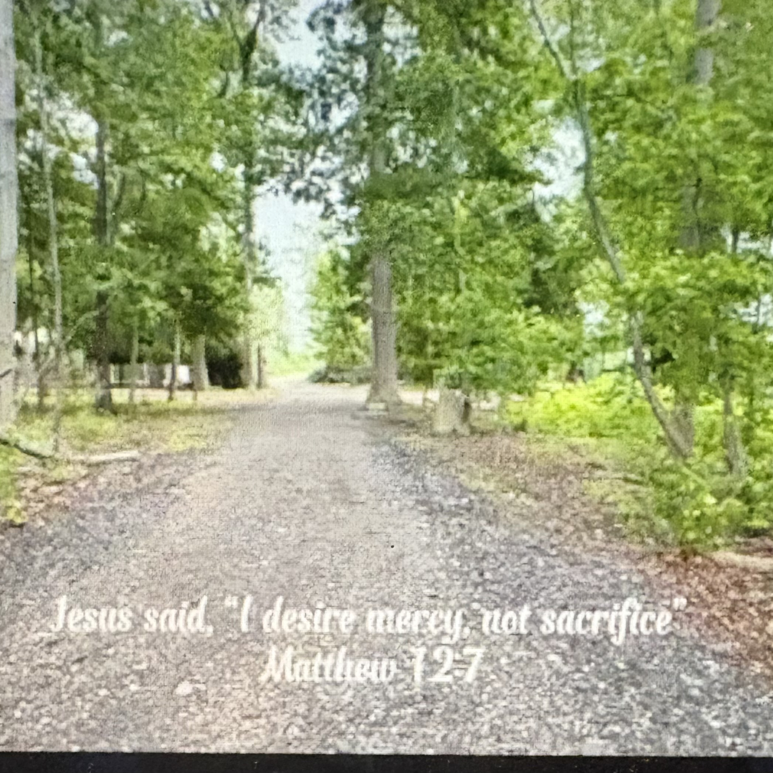 #93 God Wants Mercy, Not Perfection|Matthew 12:1-8 episode artwork