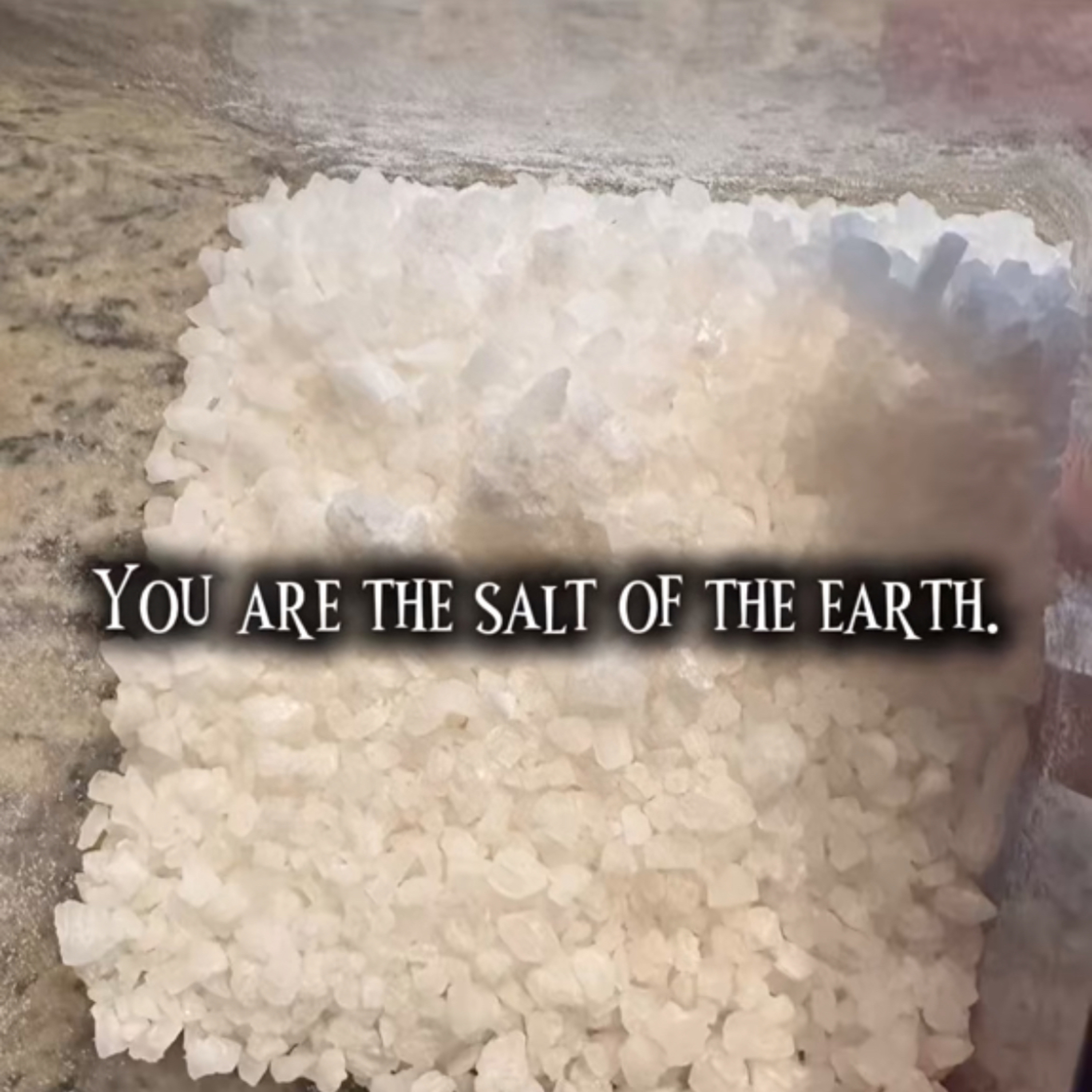 #56 Living as salt and light episode artwork