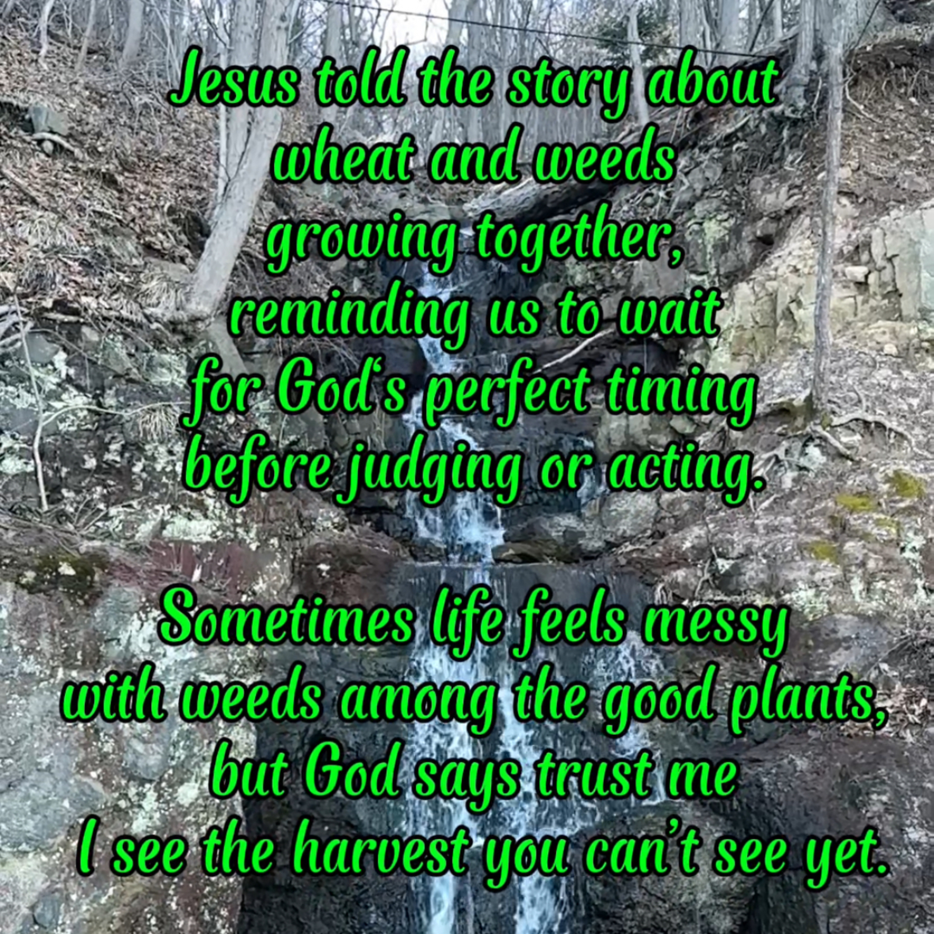 #101 Why God Lets Weeds Grow | Parable of the Weeds & Saints Joachim and Anne episode artwork