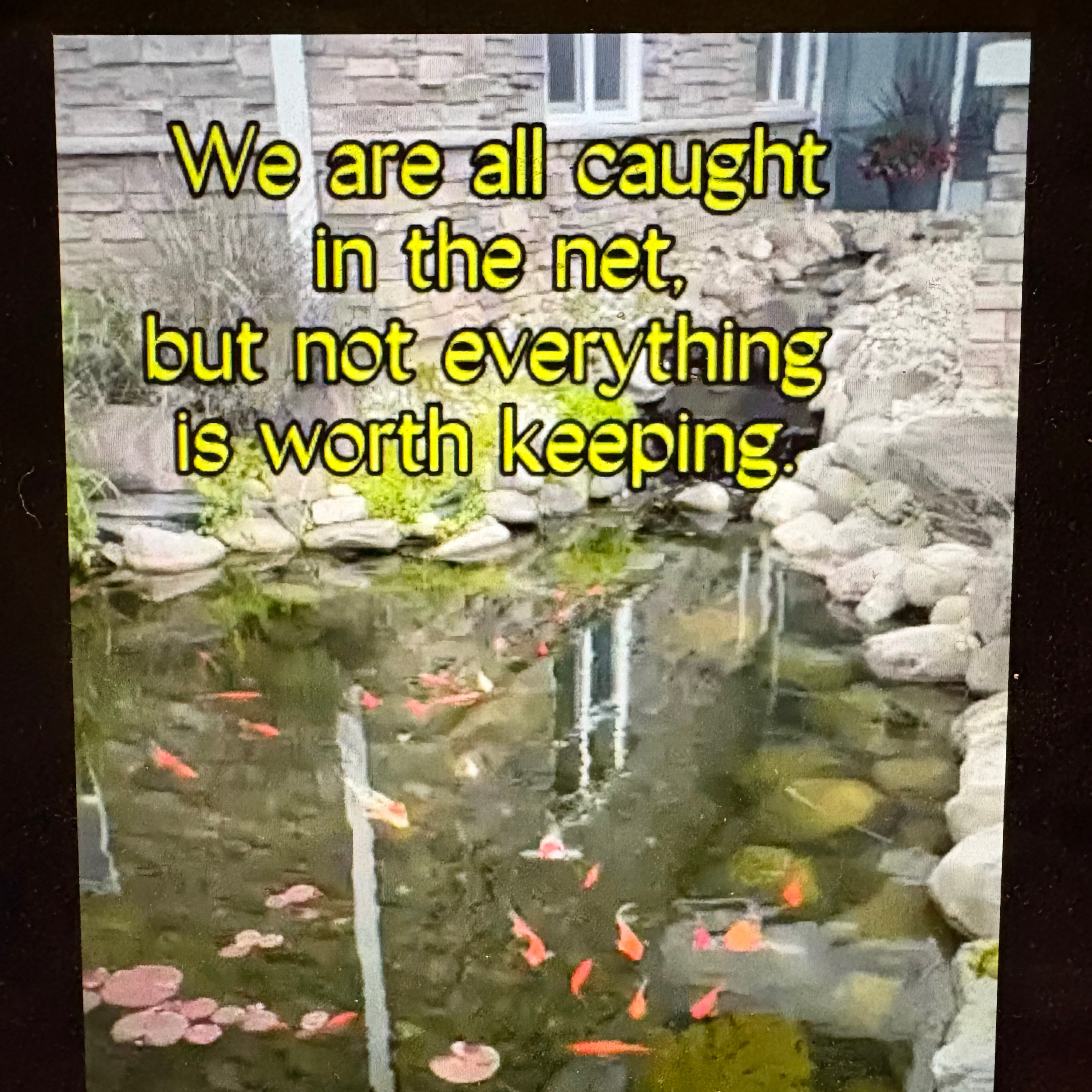 #106 What are you catching in your nets?  episode artwork