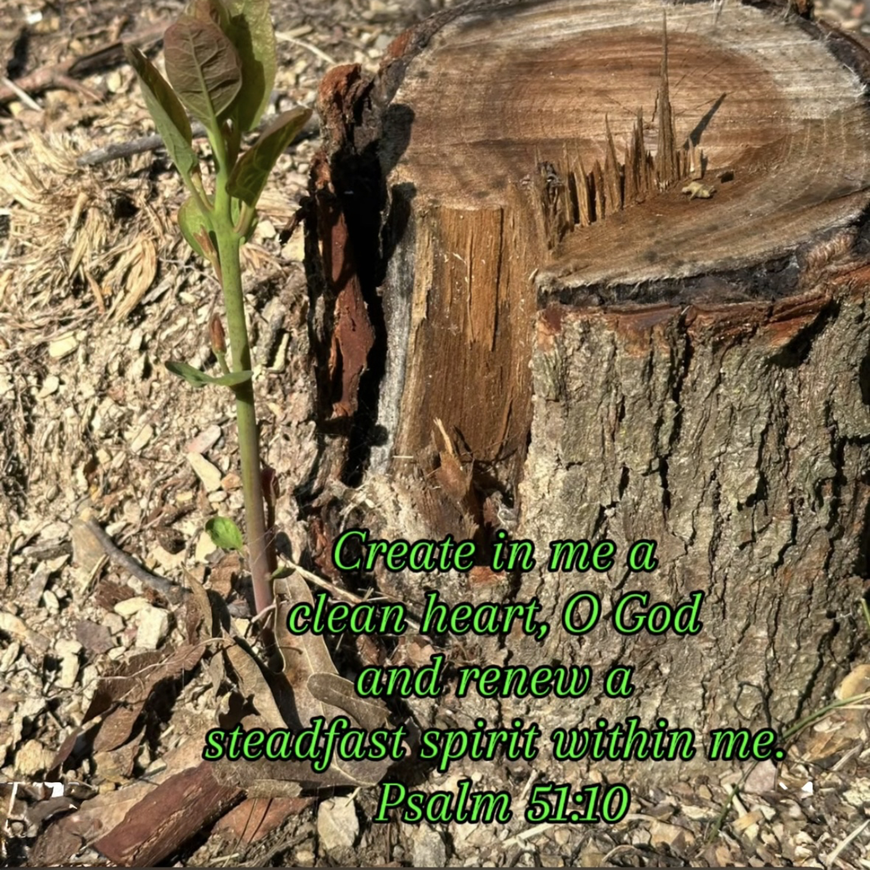 #111 Create in me a clean heart episode artwork