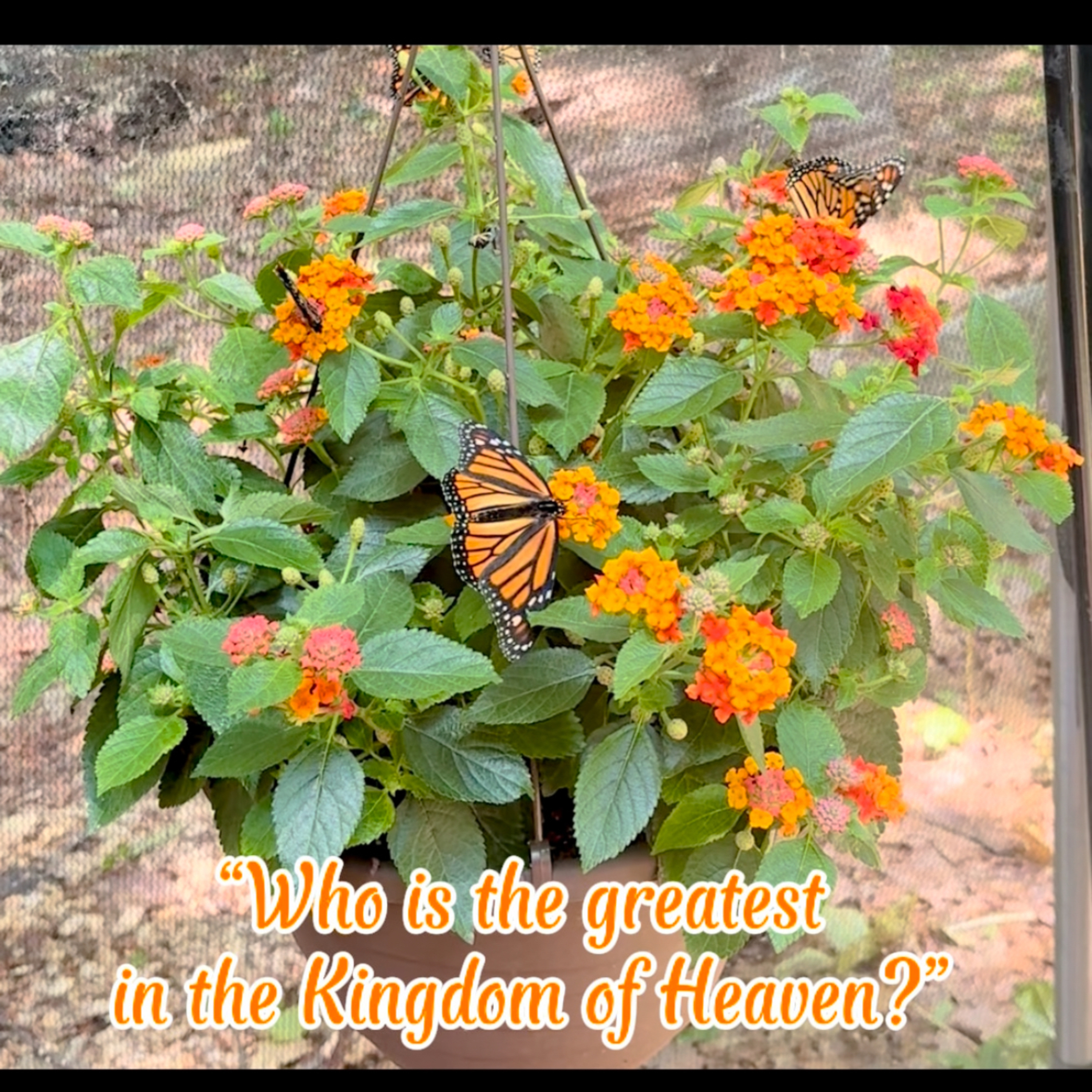 #117 How to Be Great in God’s Kingdom episode artwork