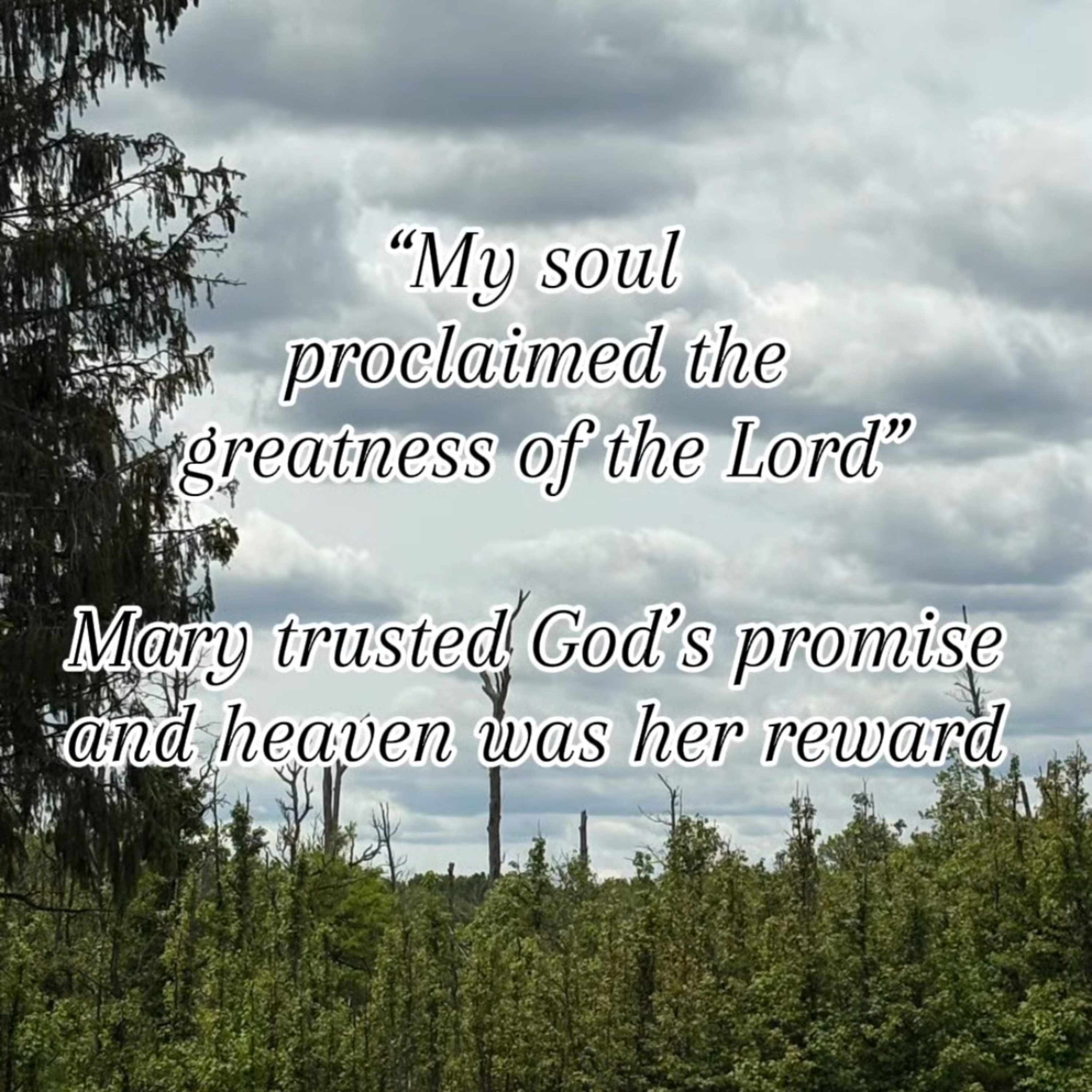 #120 Trusting God Like Mary episode artwork