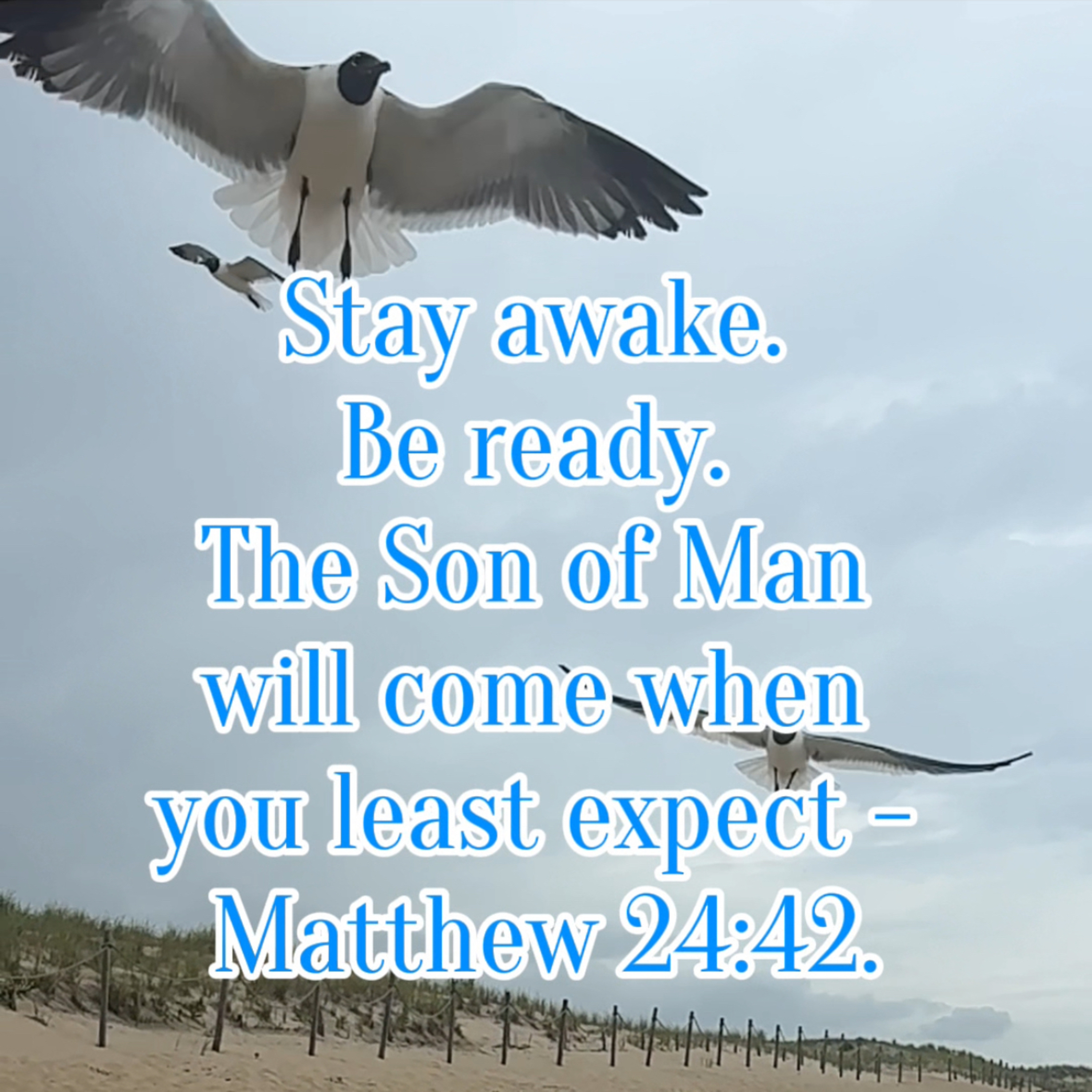 #133 Stay Awake: Living Ready for Christ's Return episode artwork