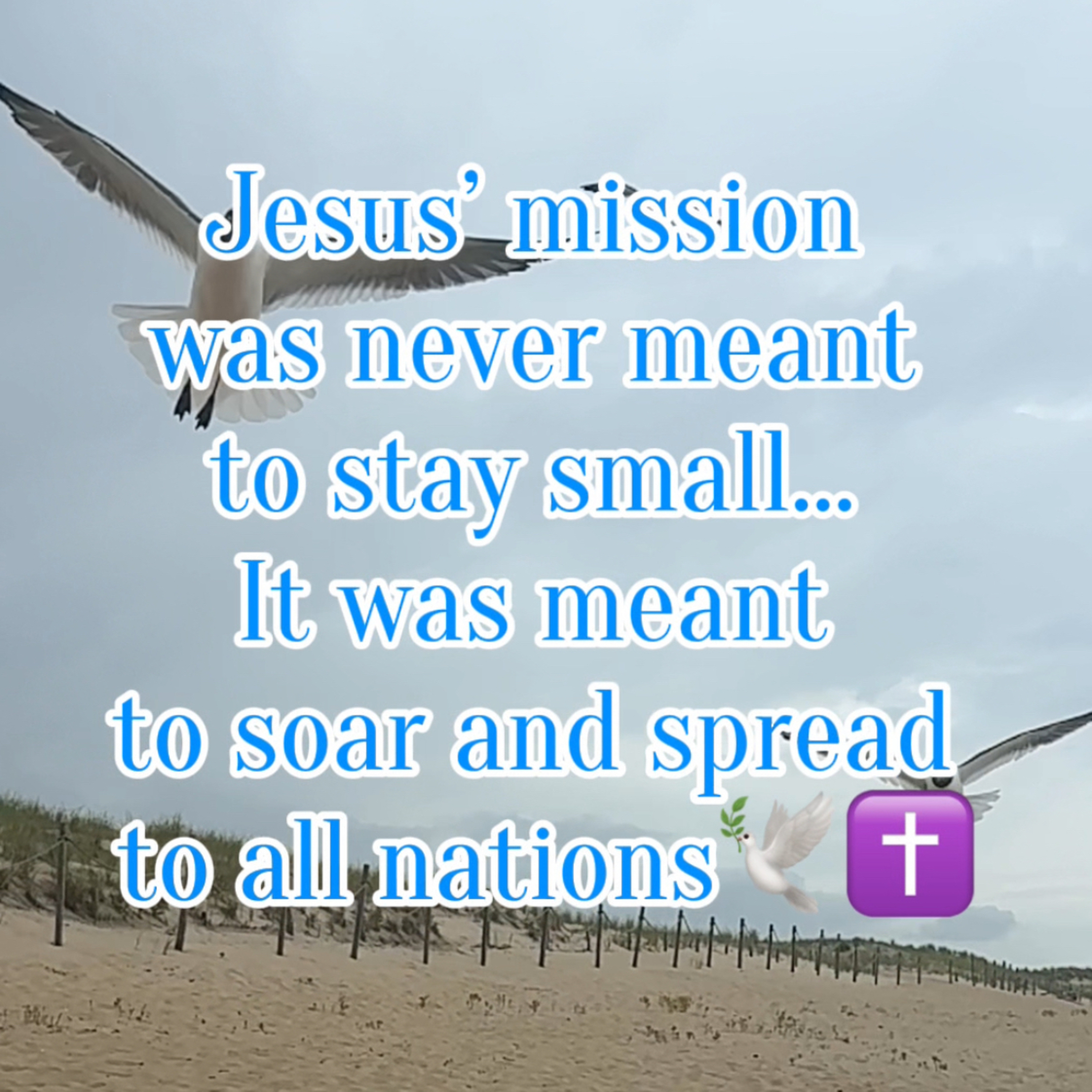 #137 The Mission of Jesus Was Meant to Soar episode artwork