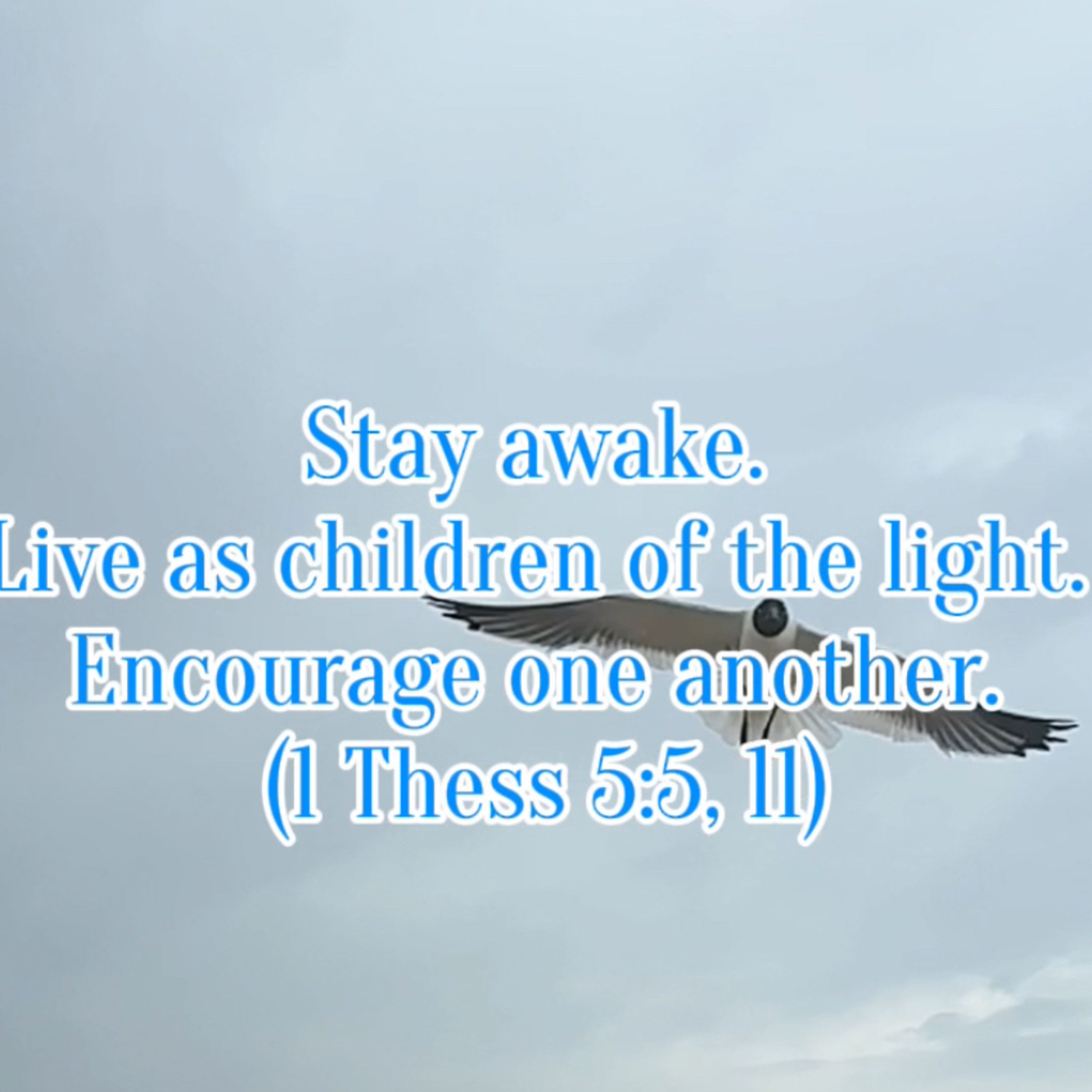 #138 Stay Awake & Live as Children of the Light episode artwork