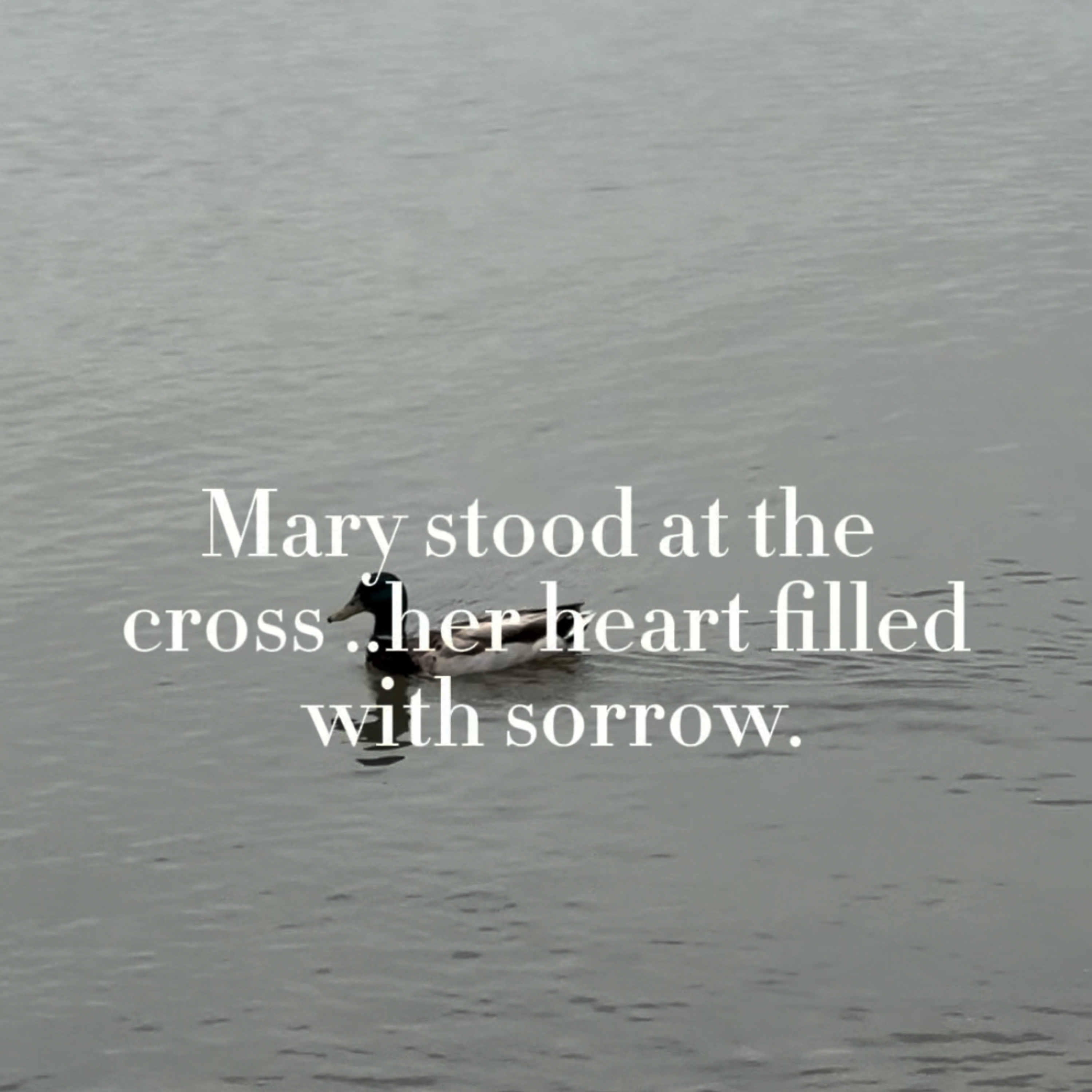 #151 Mary at the Cross| Our Lady of Sorrows episode artwork