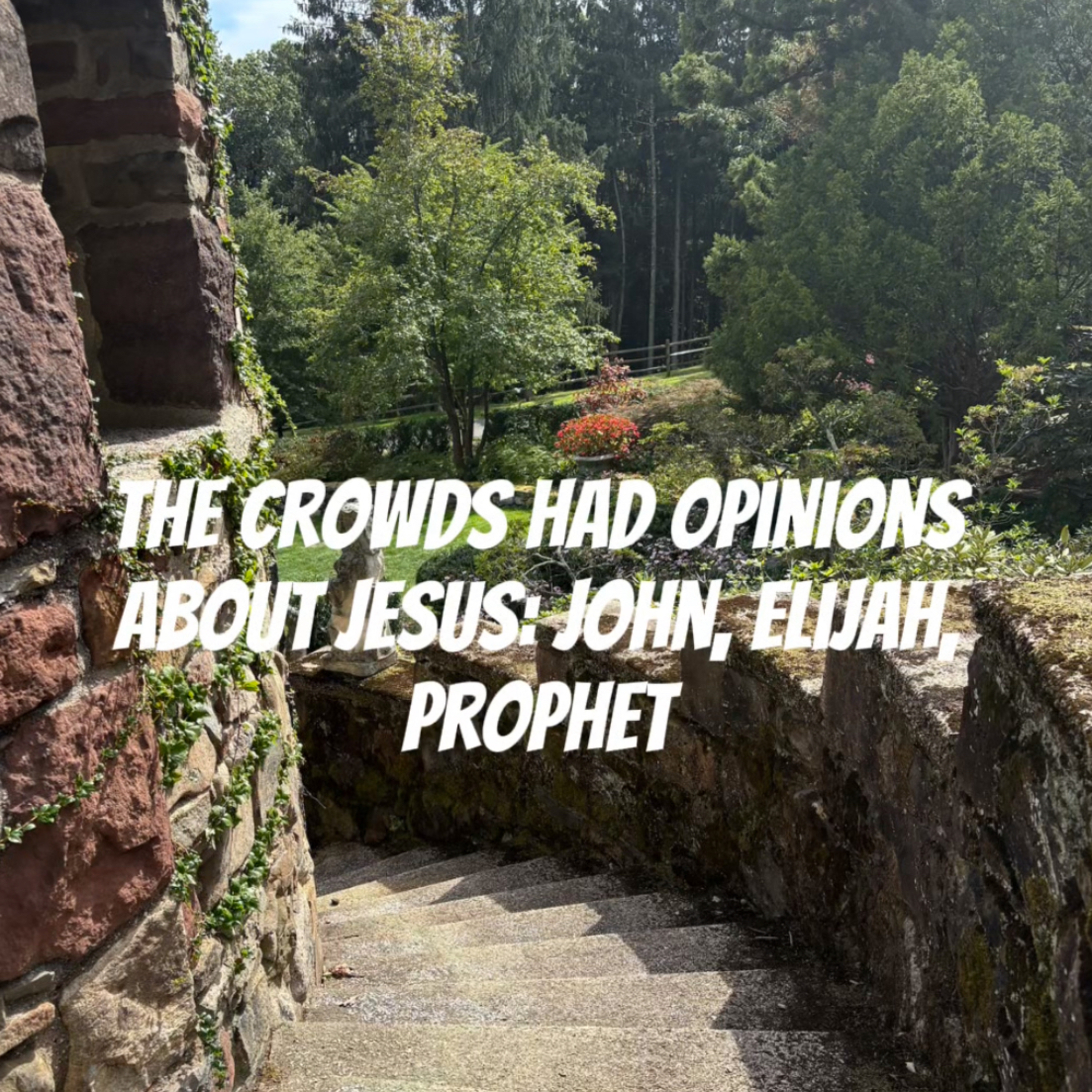 #161 Crowds Have Opinions. What's Your Declaration?  episode artwork
