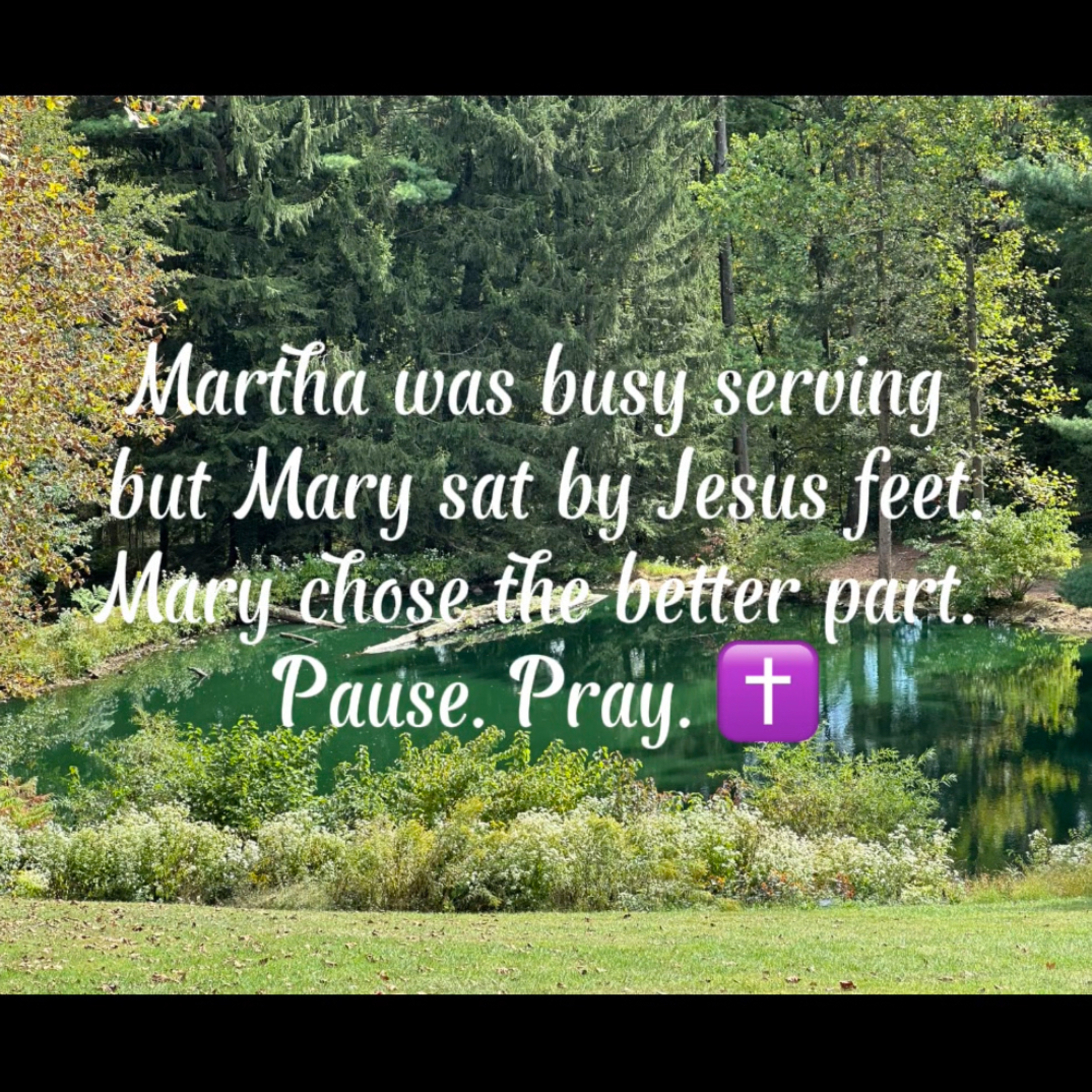 #171 Mary Chose the Better Part & Our Lady of the Rosary episode artwork