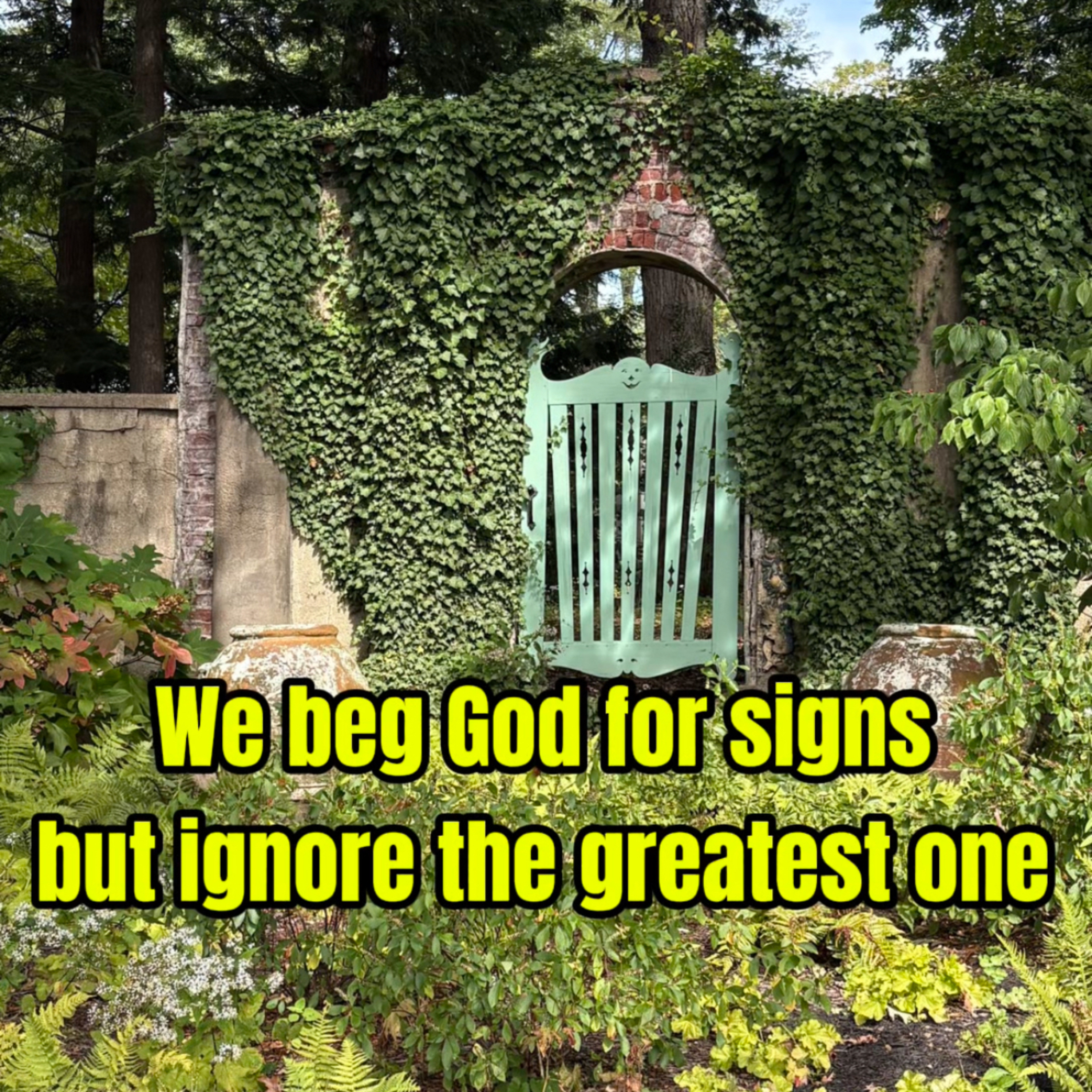 #176 Why Do We Still Ask for Signs? episode artwork