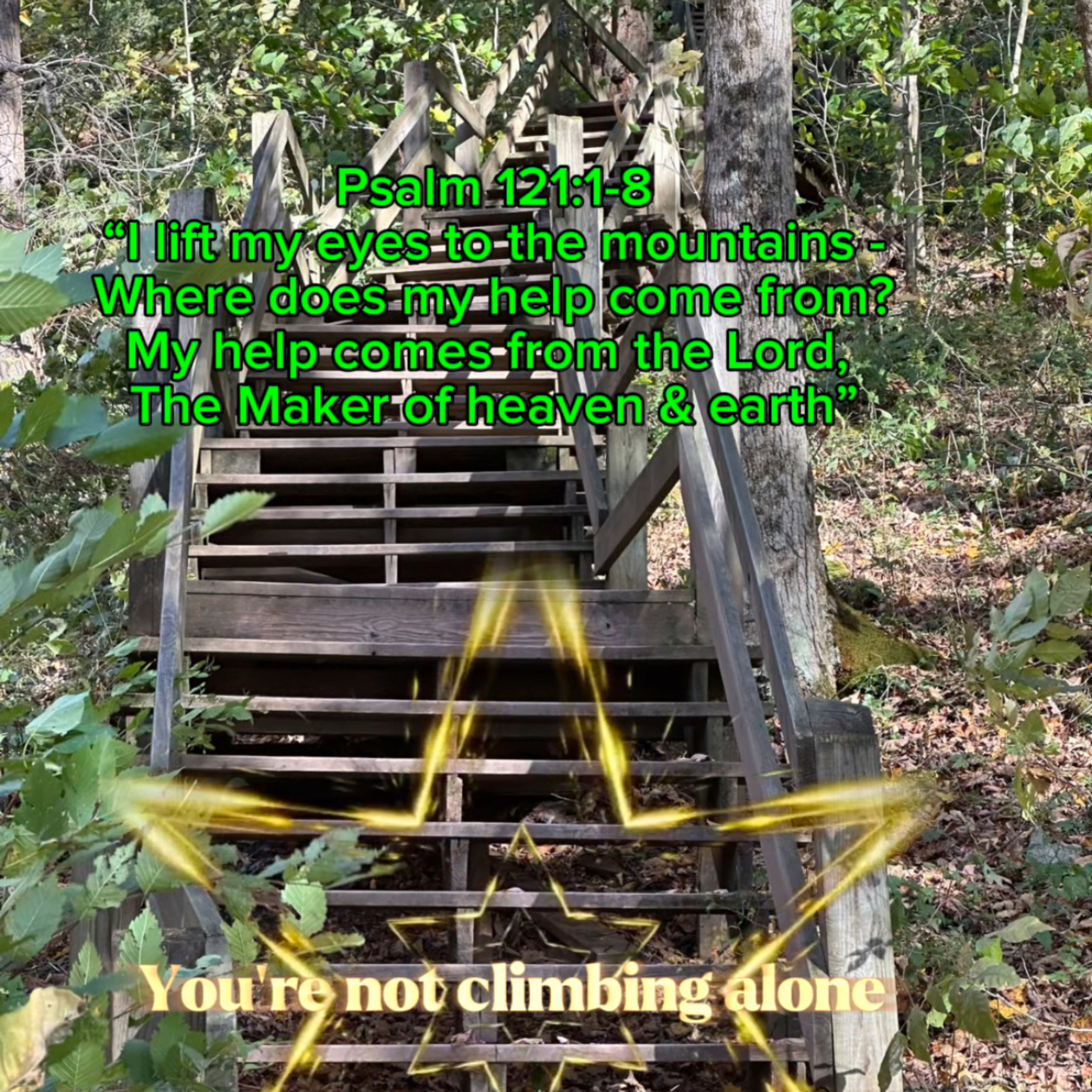 #184 You're Not Climbing Alone" episode artwork