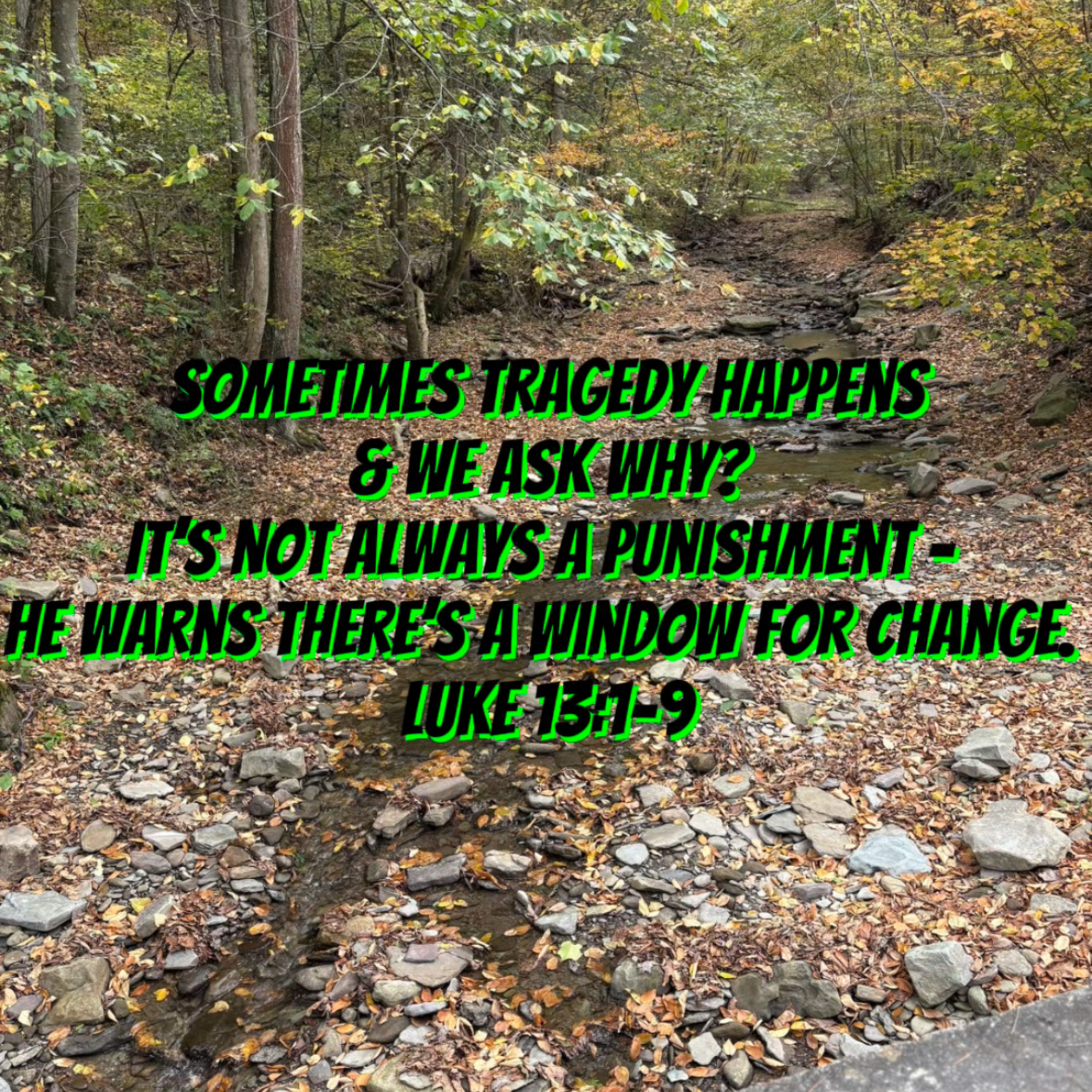 #188 The Fig Tree: God’s Patience & Urgency episode artwork