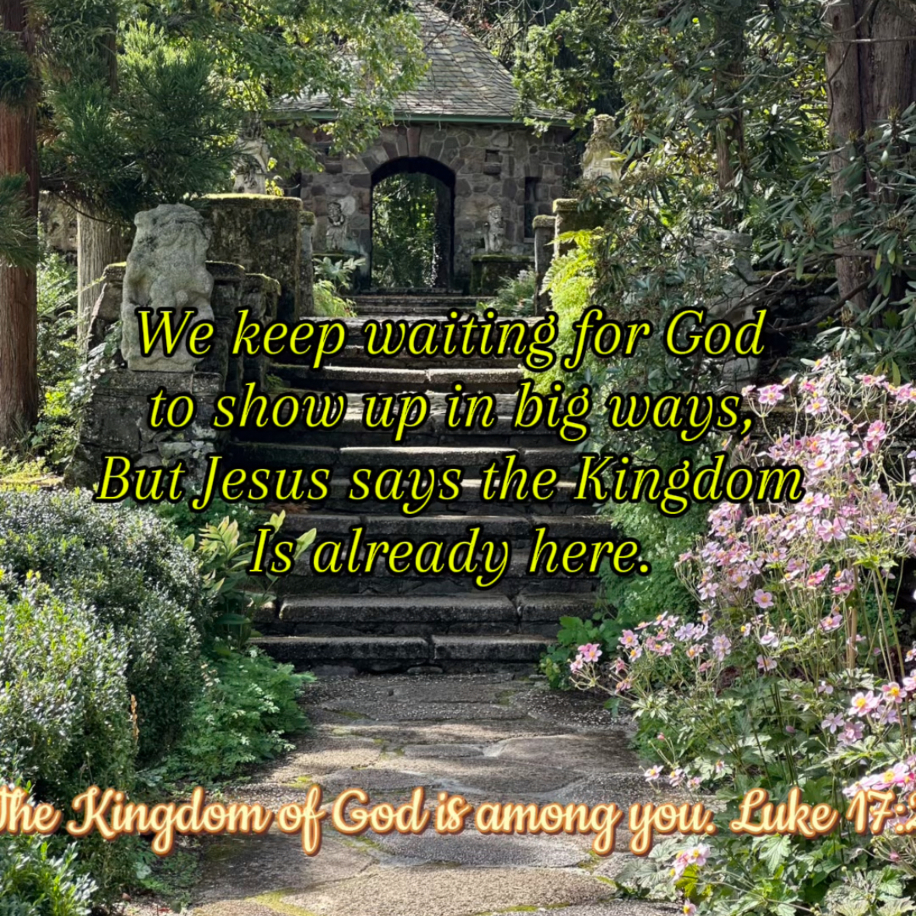 #206 The Kingdom of God is Already Here episode artwork